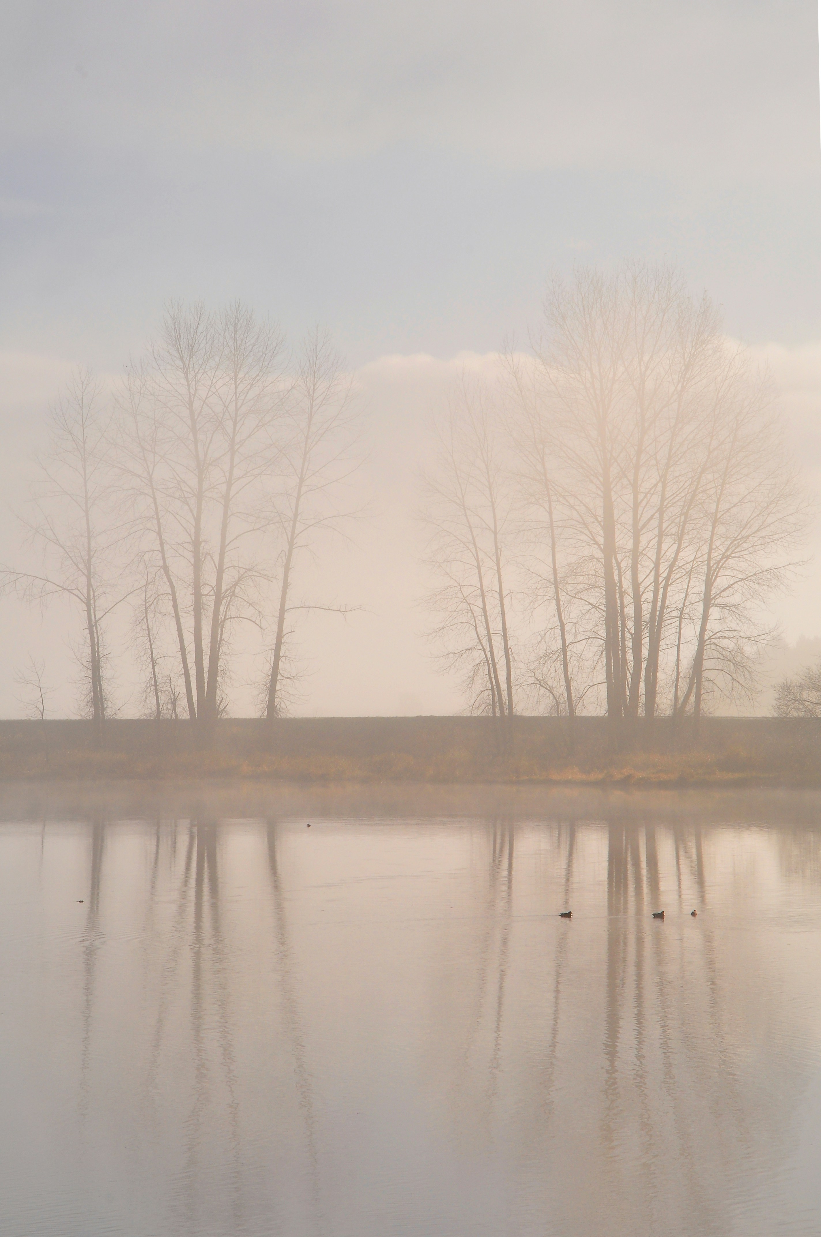 Photo by andreiantica