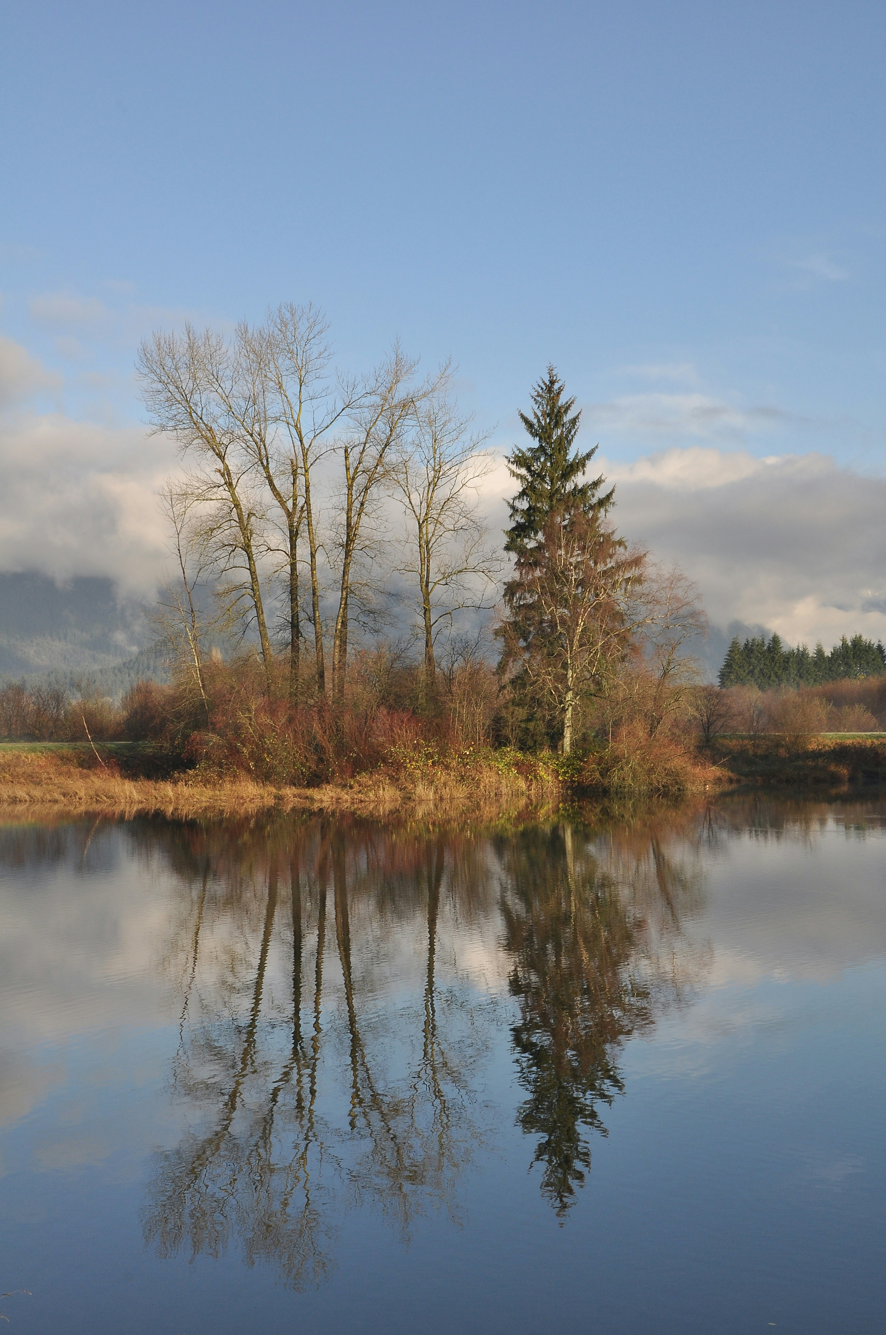 Photo by andreiantica