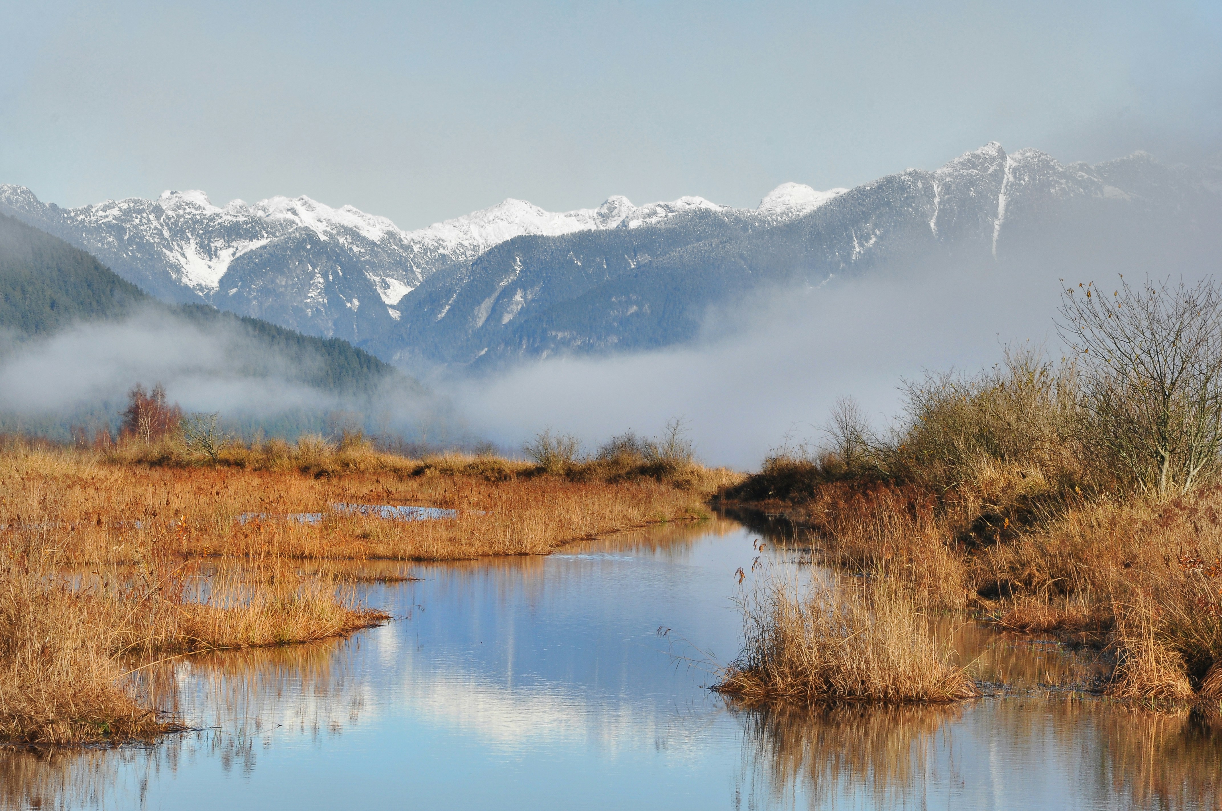 Photo by andreiantica