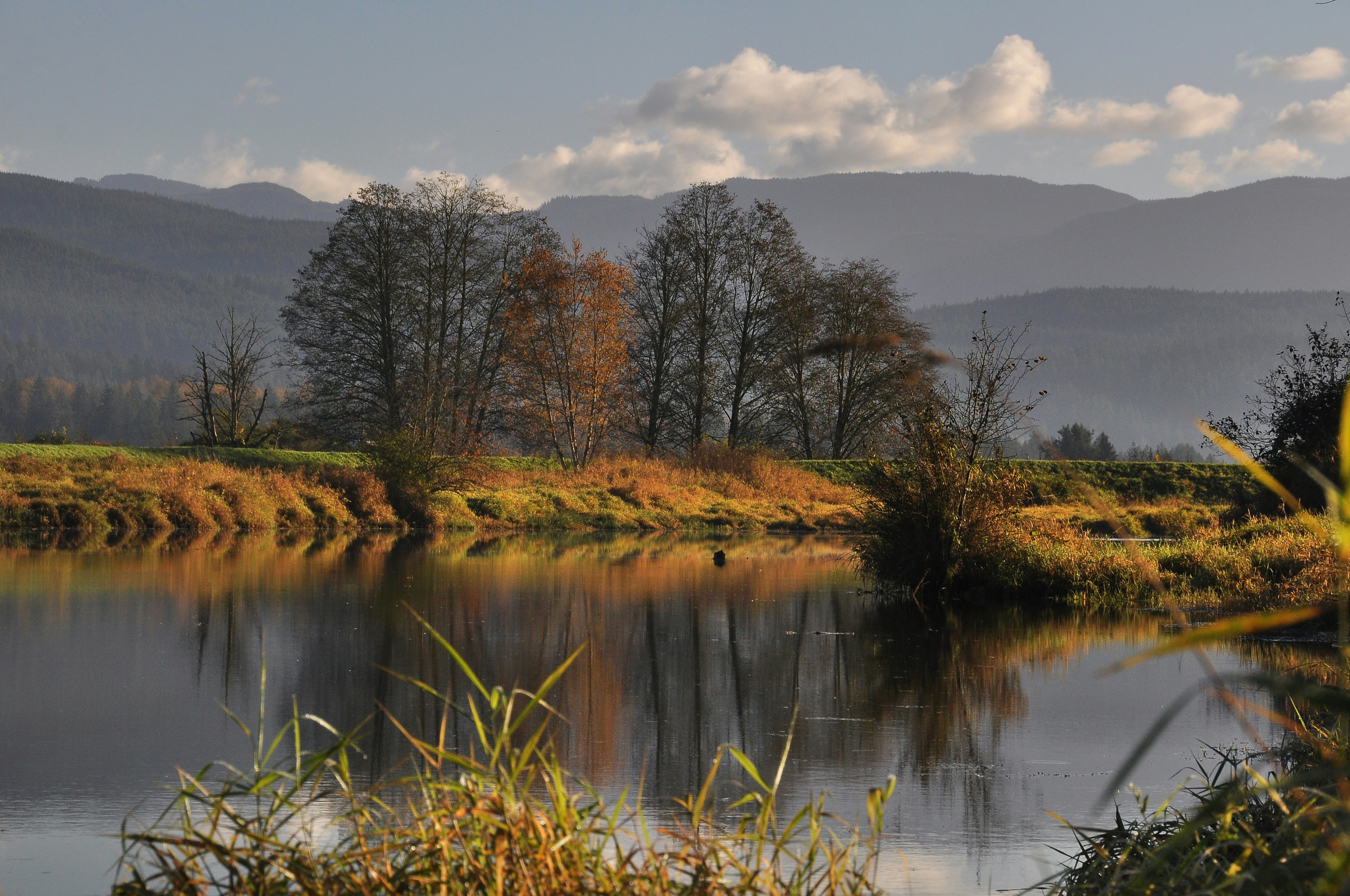 Photo by andreiantica