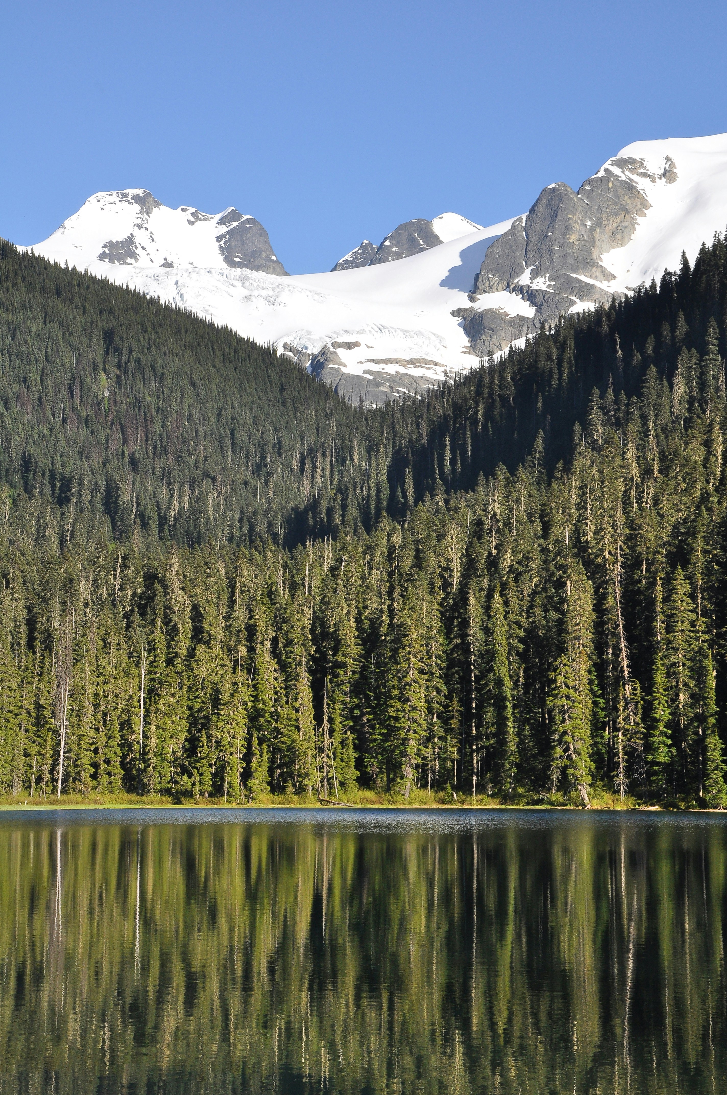 Photo by andreiantica