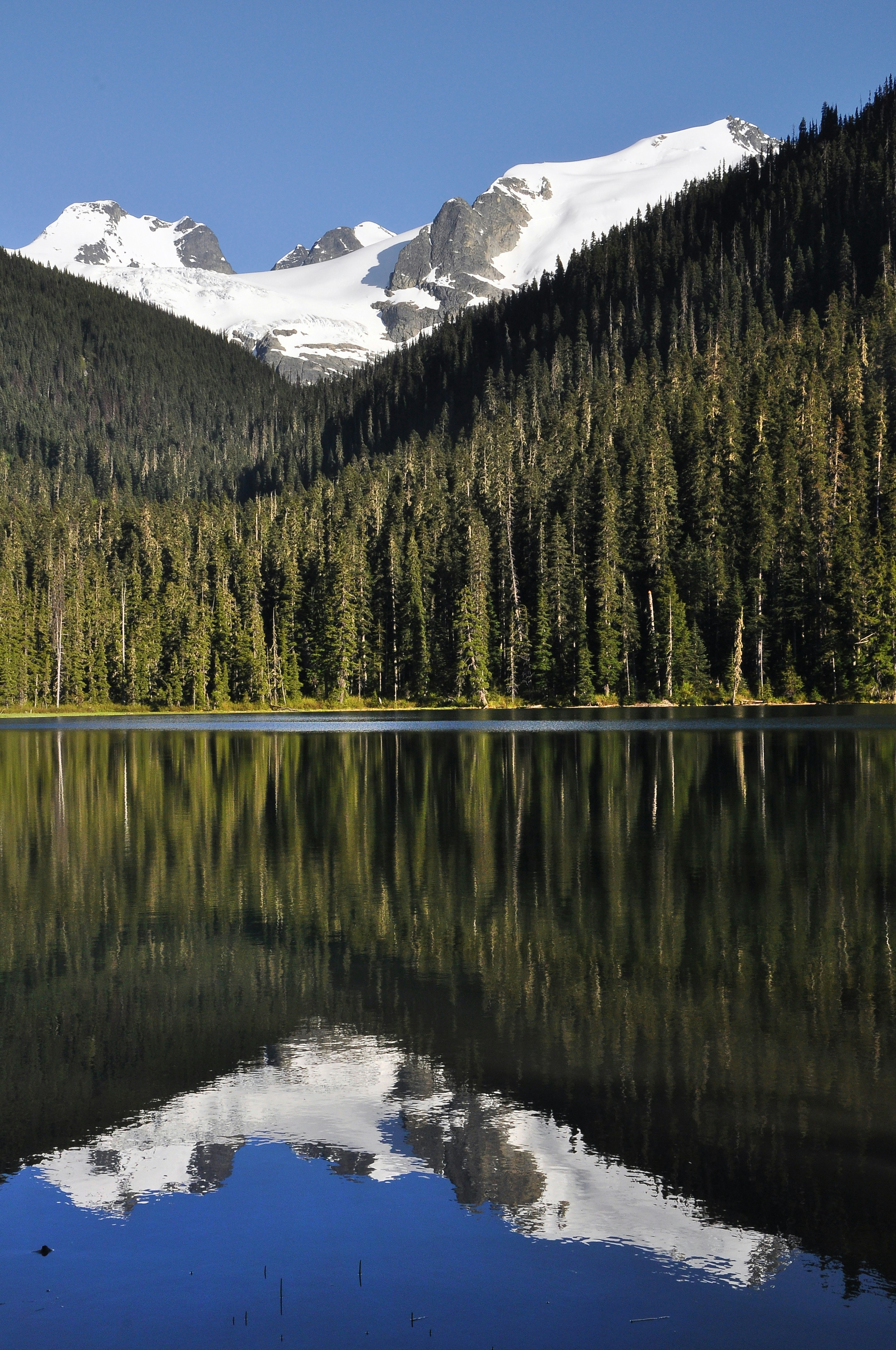 Photo by andreiantica