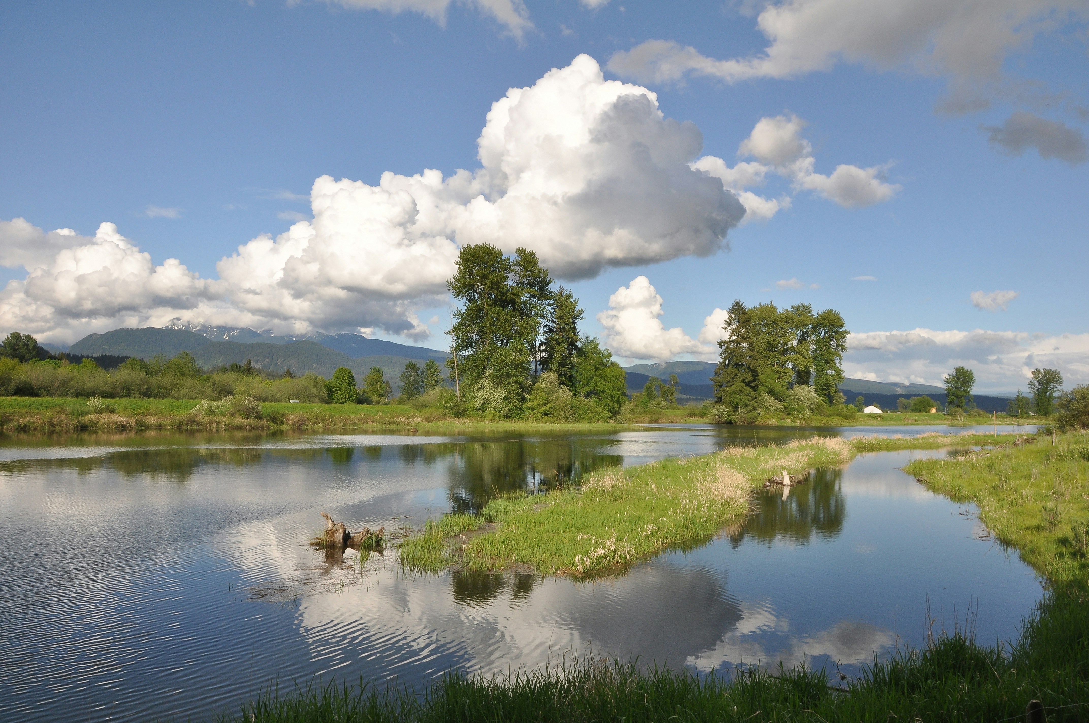 Photo by andreiantica