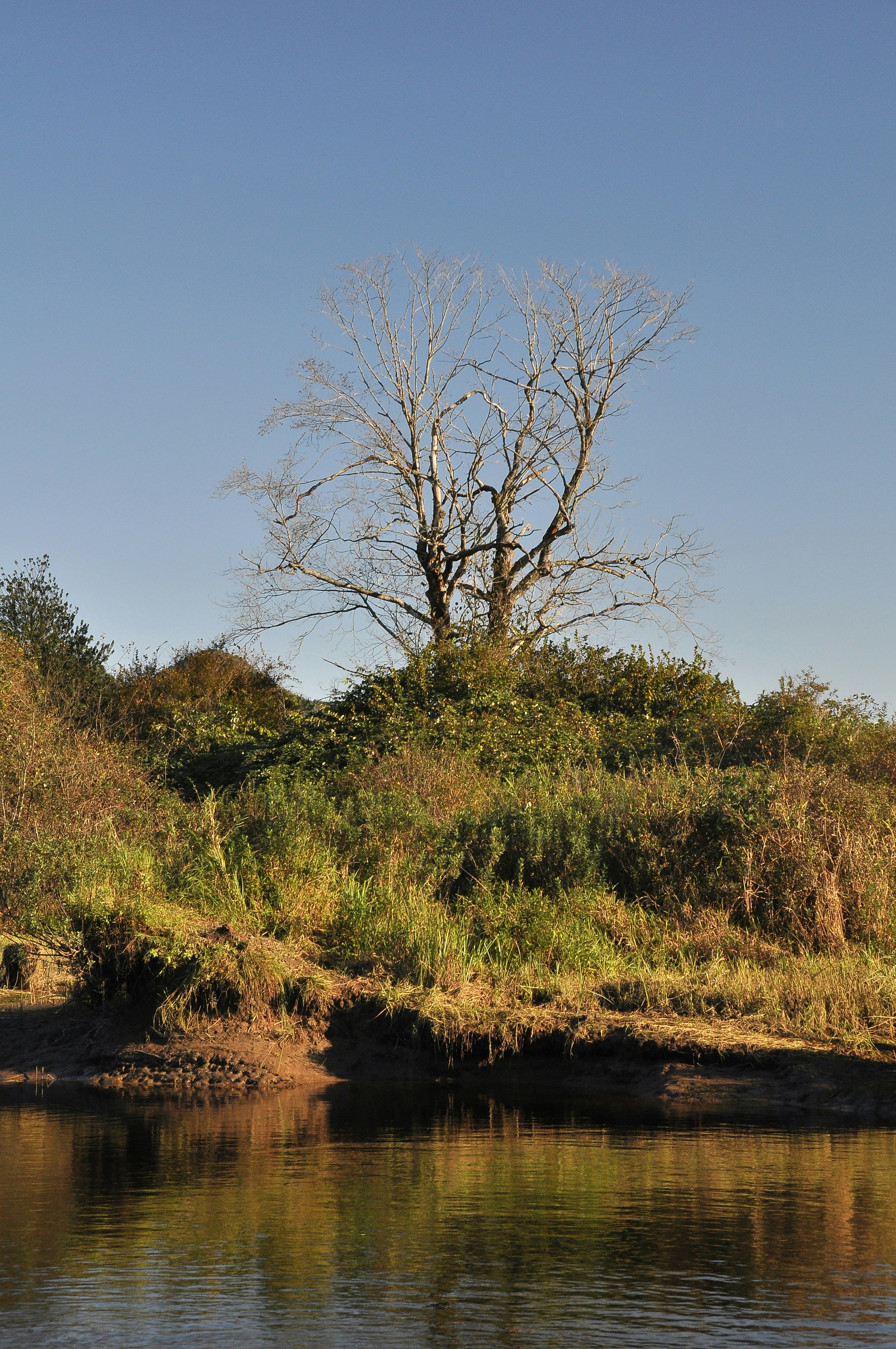 Photo by andreiantica