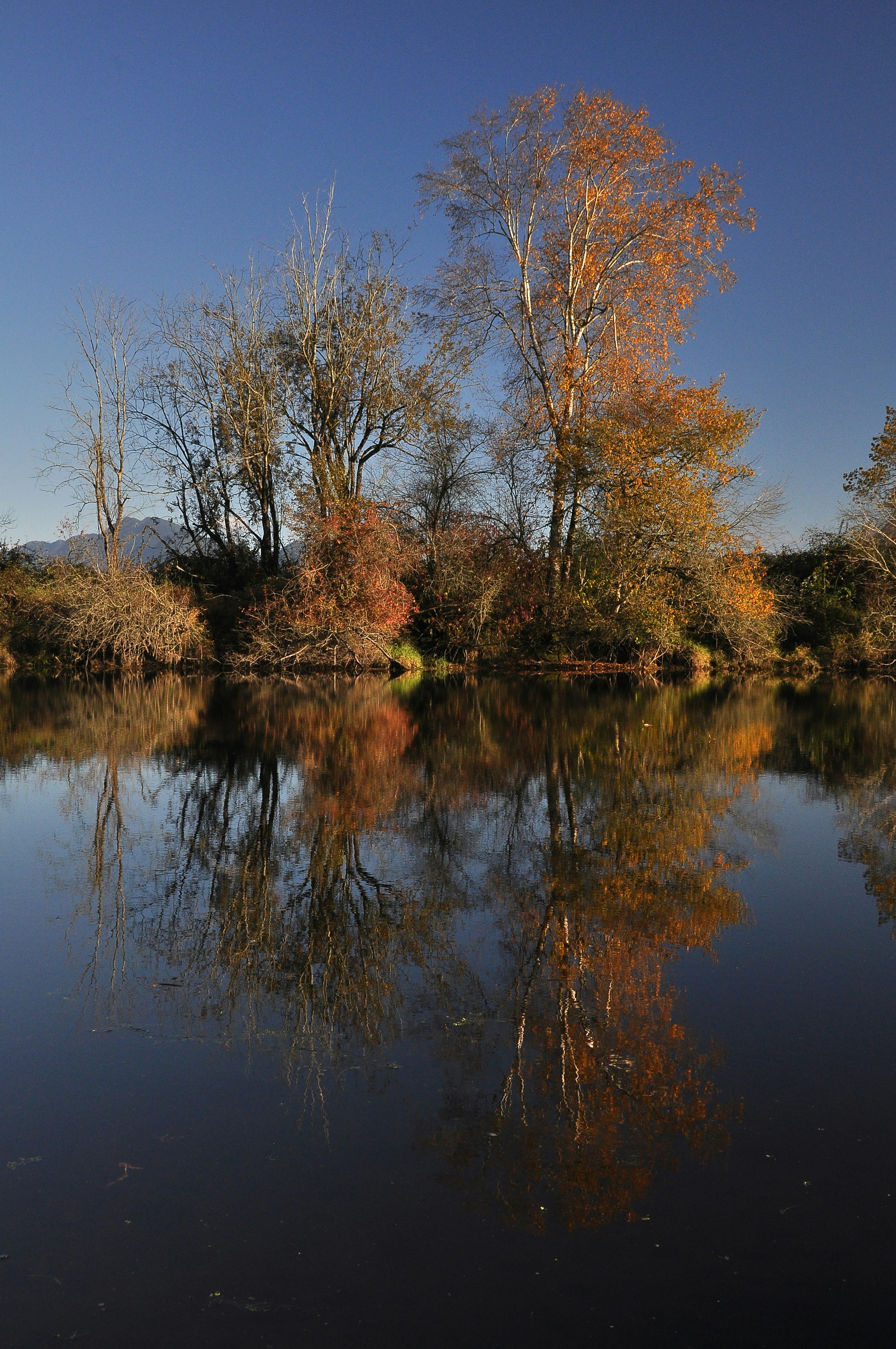Photo by andreiantica