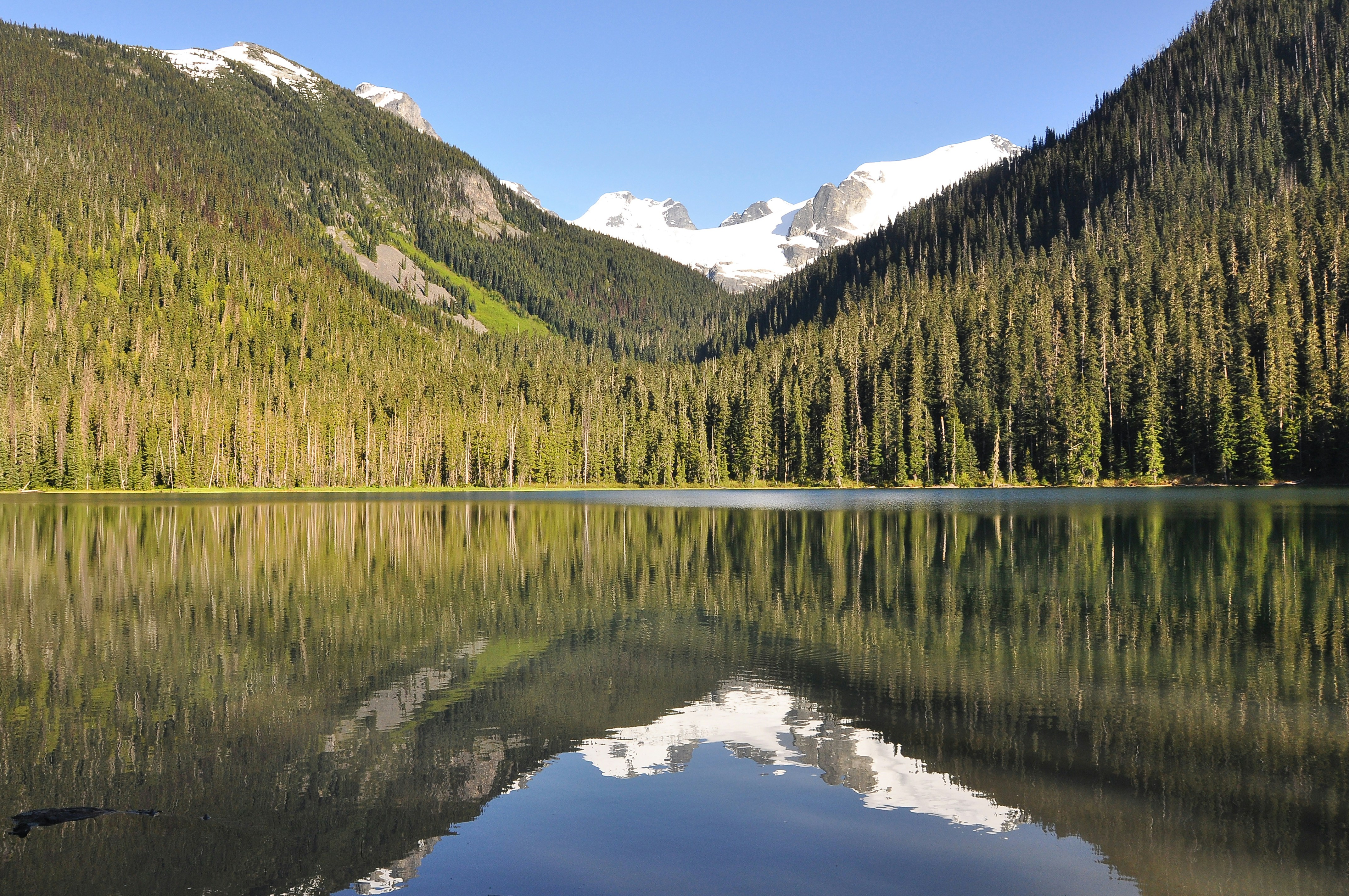 Photo by andreiantica