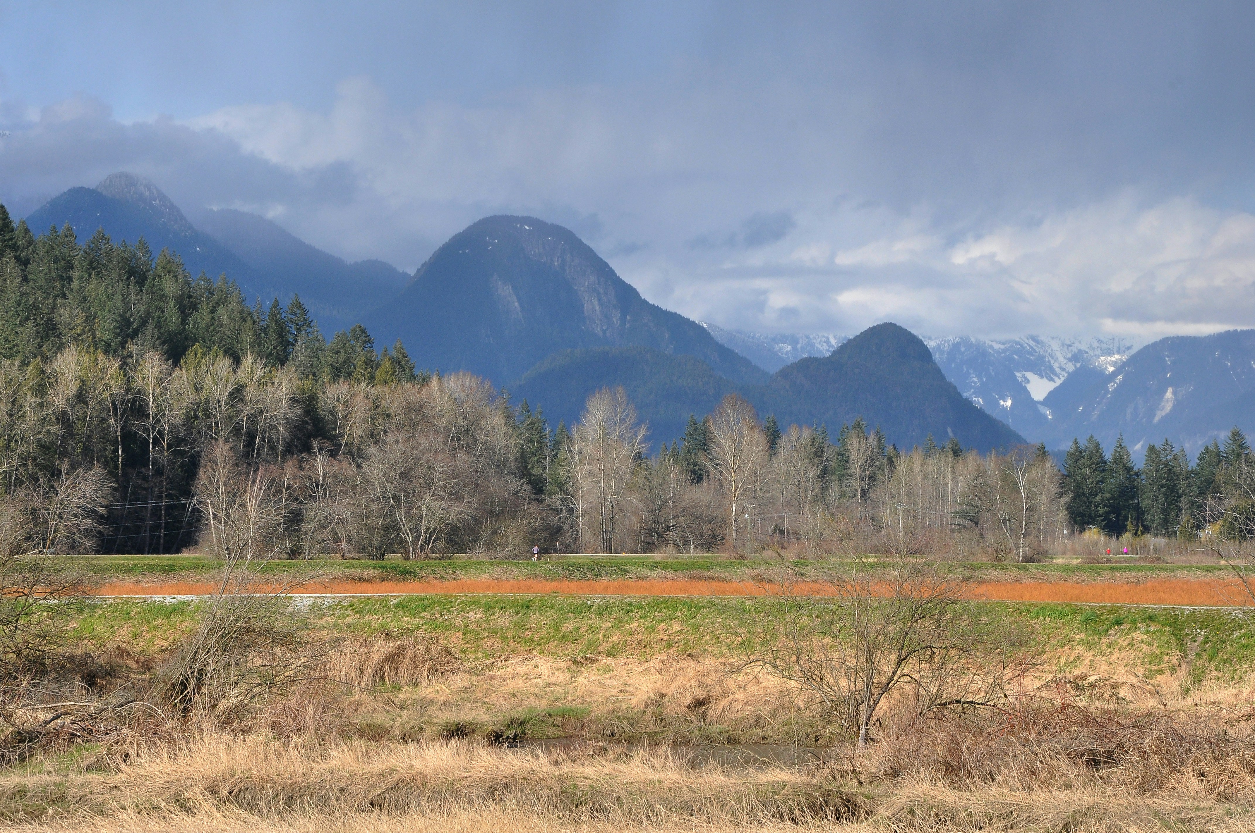 Photo by andreiantica