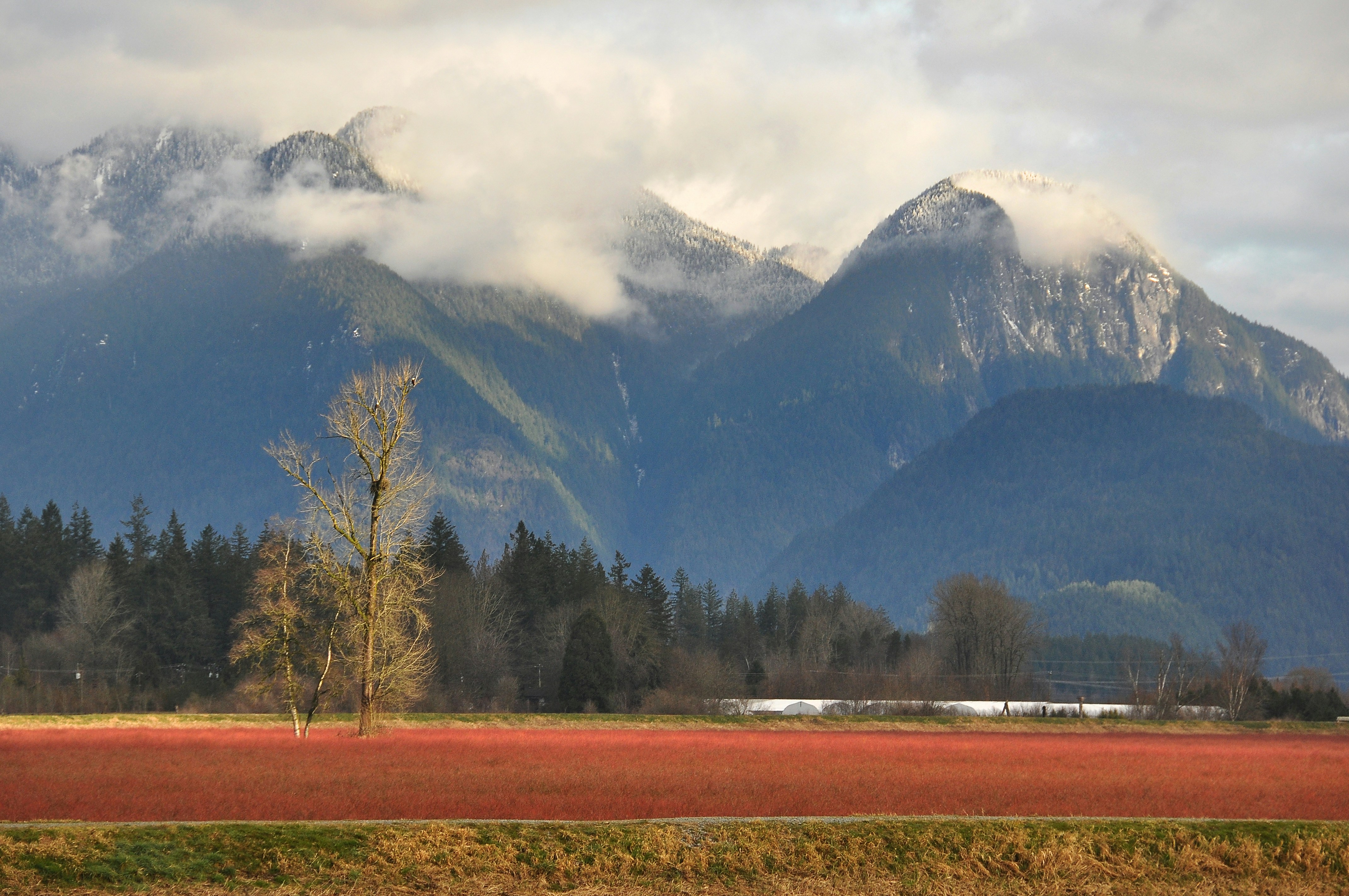 Photo by andreiantica