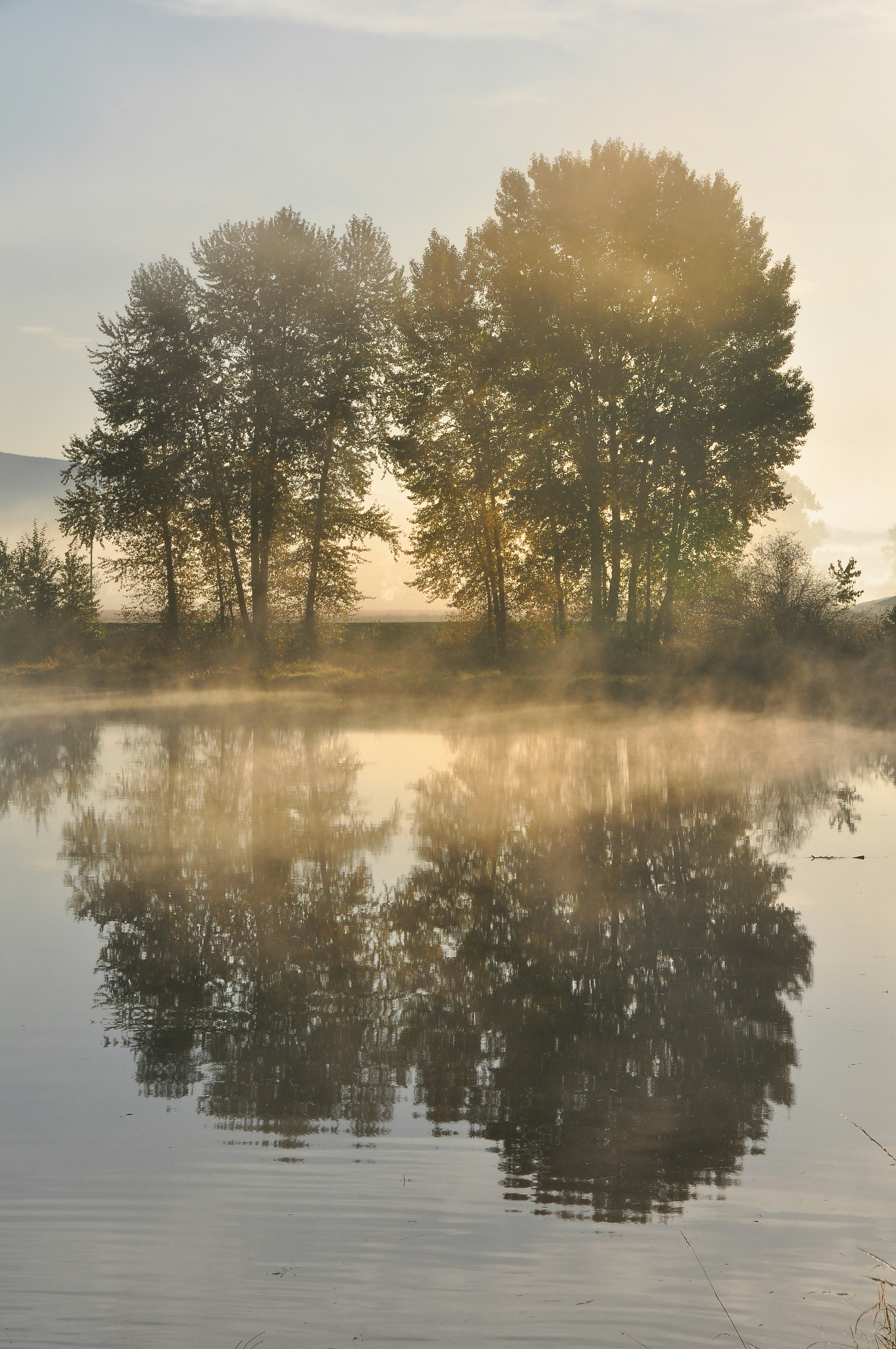 Photo by andreiantica