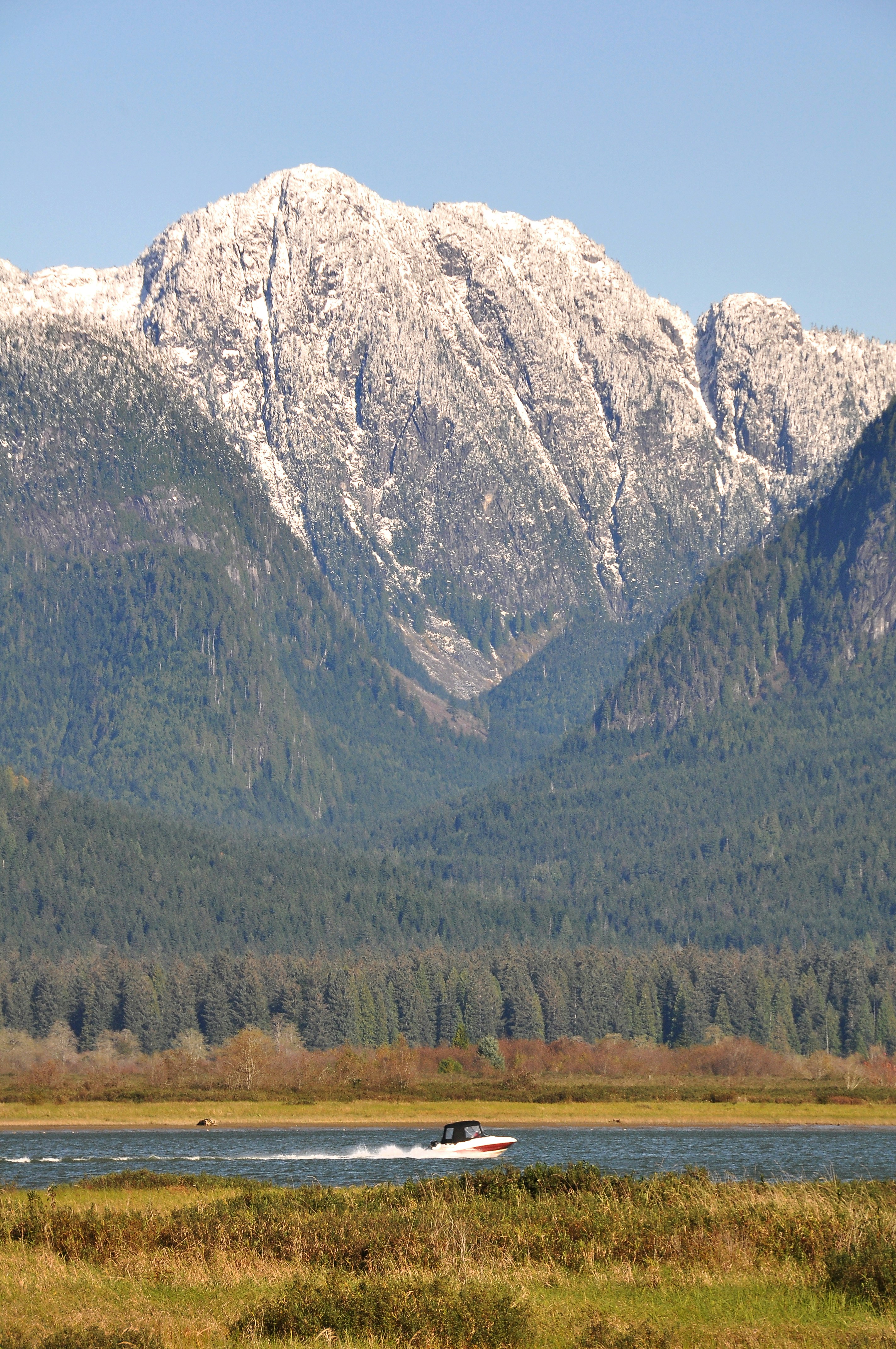 Photo by andreiantica