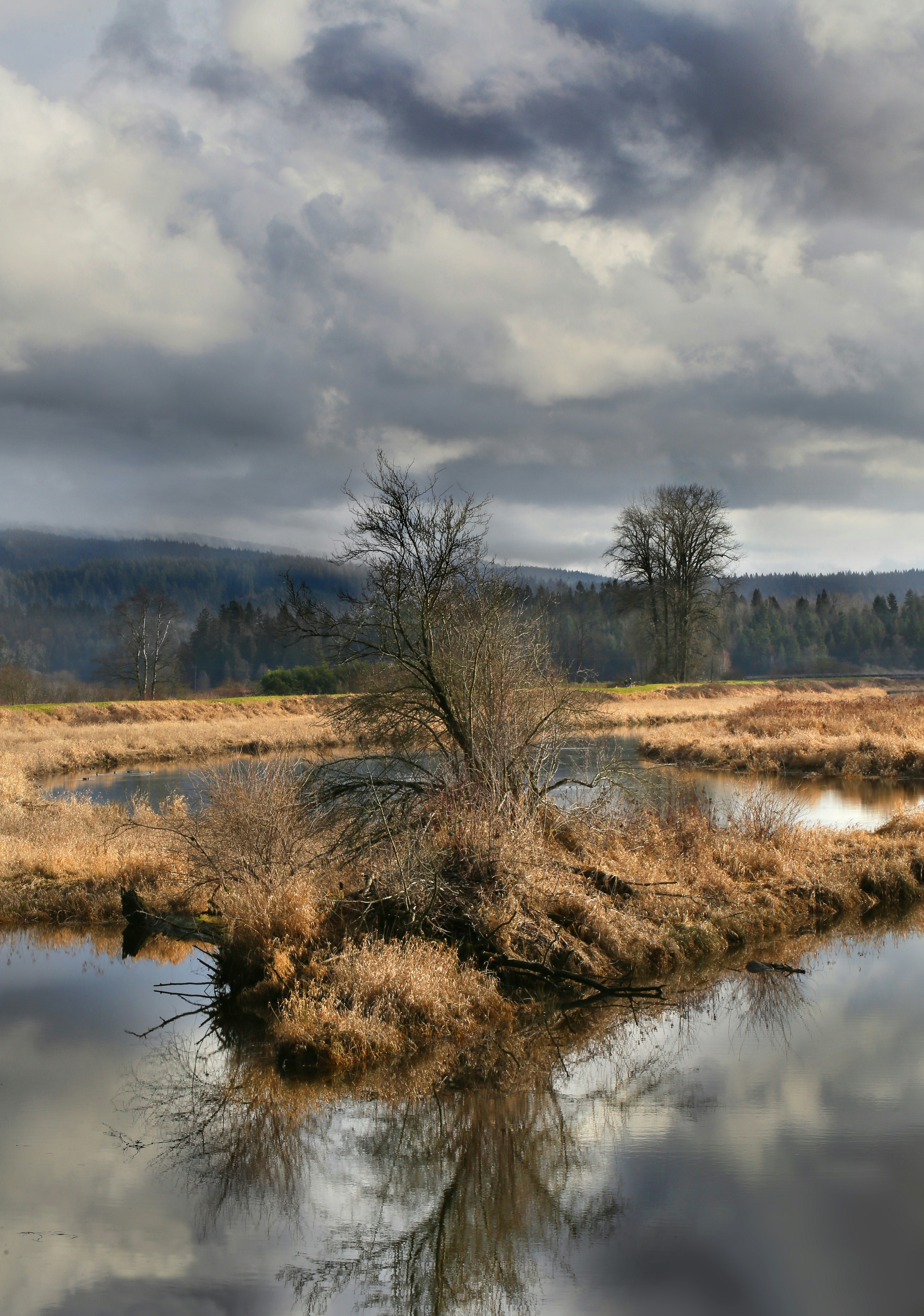 Photo by andreiantica