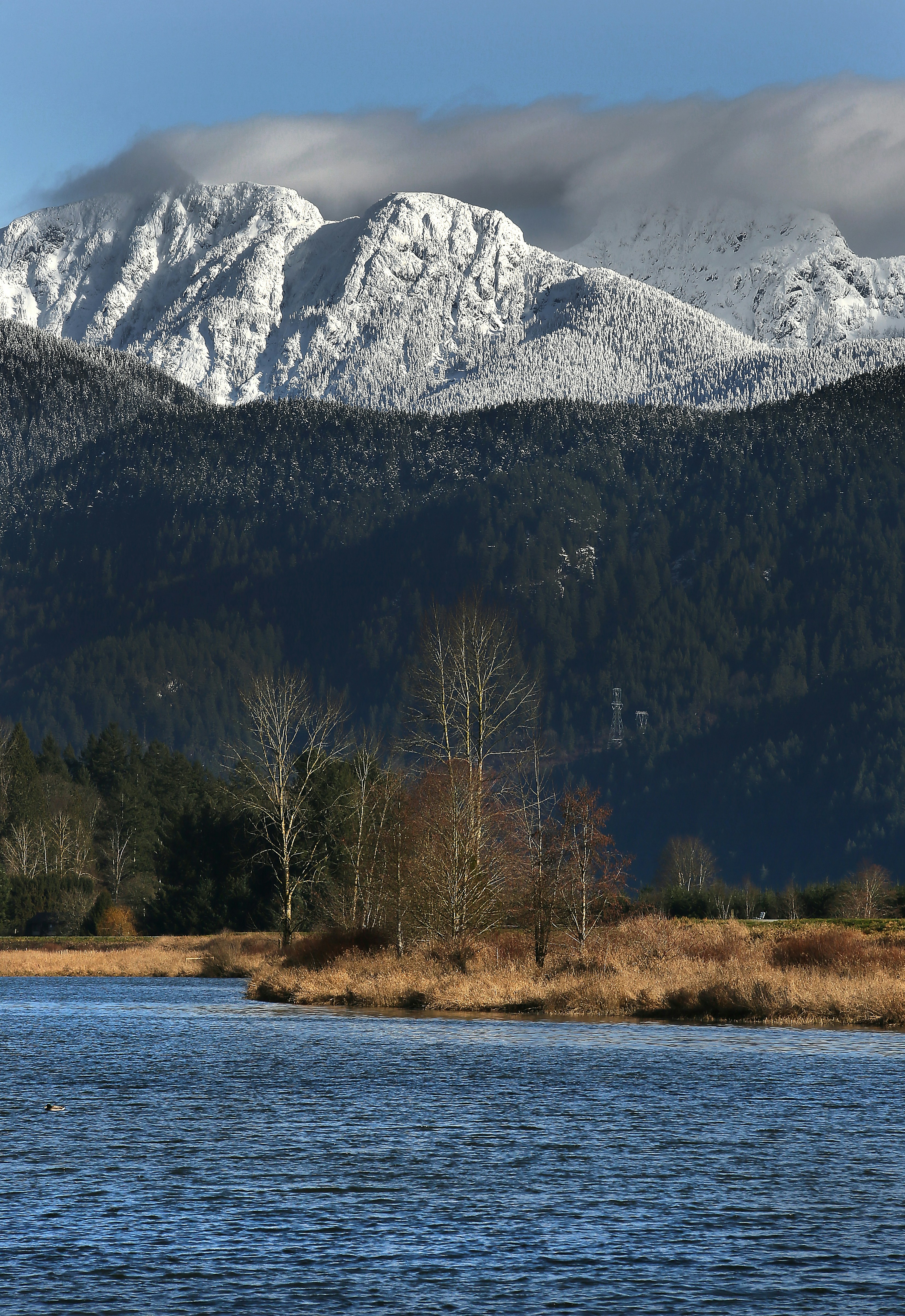 Photo by andreiantica