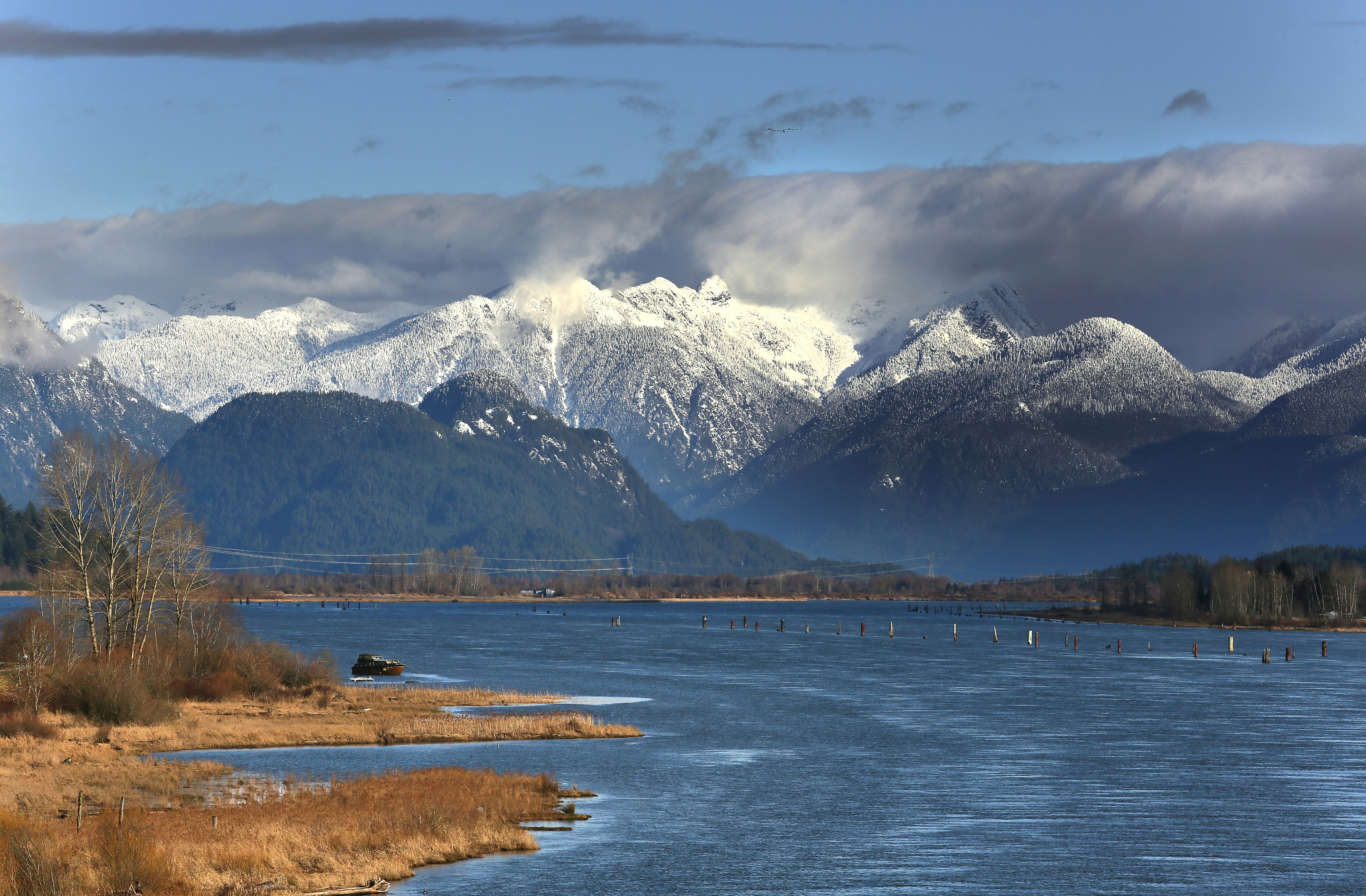 Photo by andreiantica