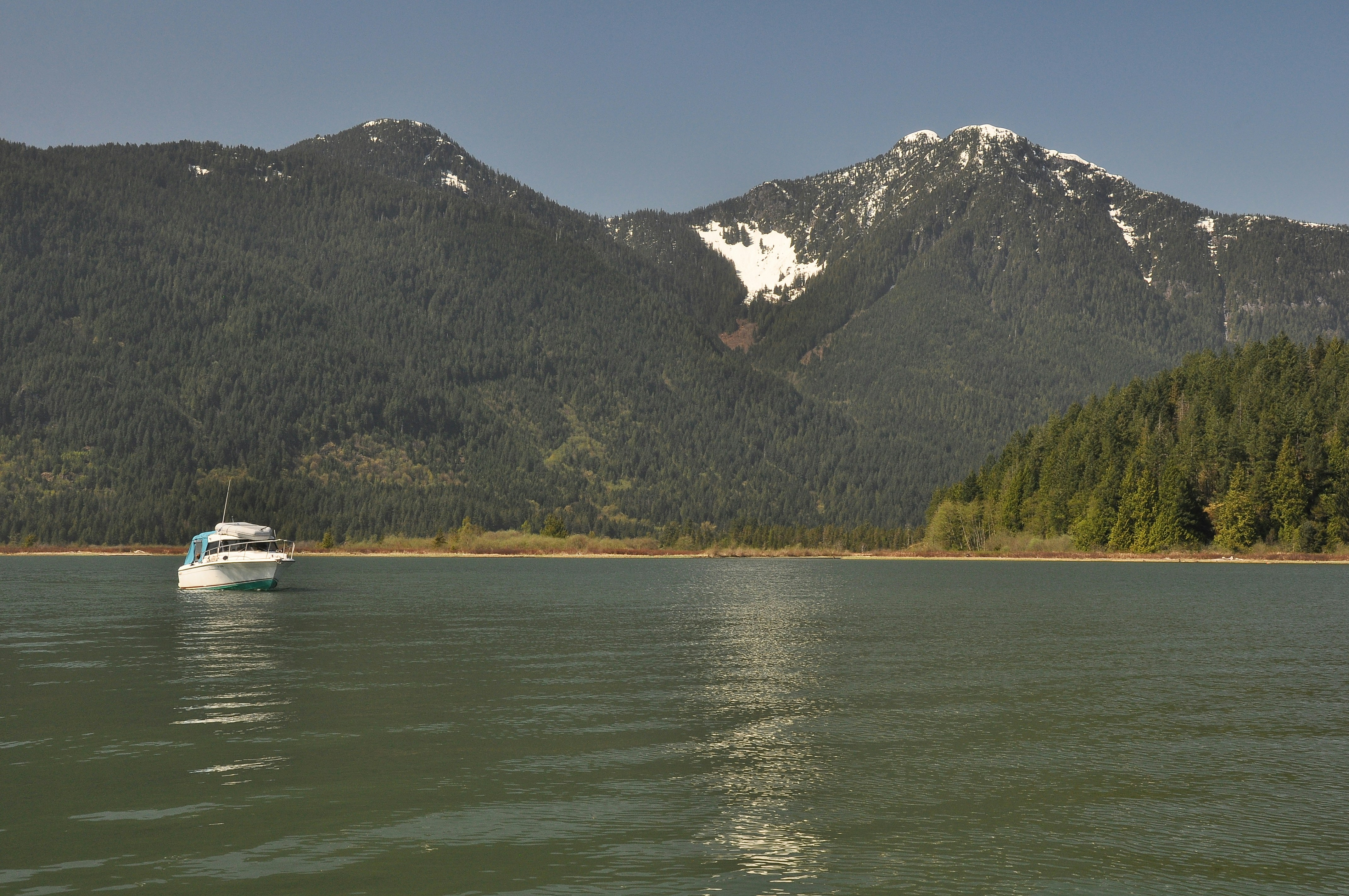 Photo by andreiantica