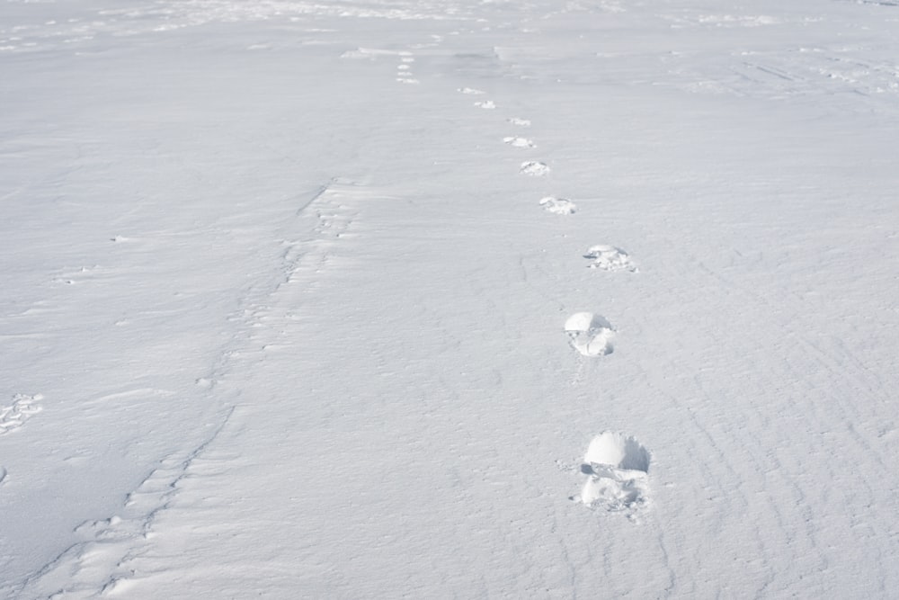 a person is walking in the snow with their footprints in the snow