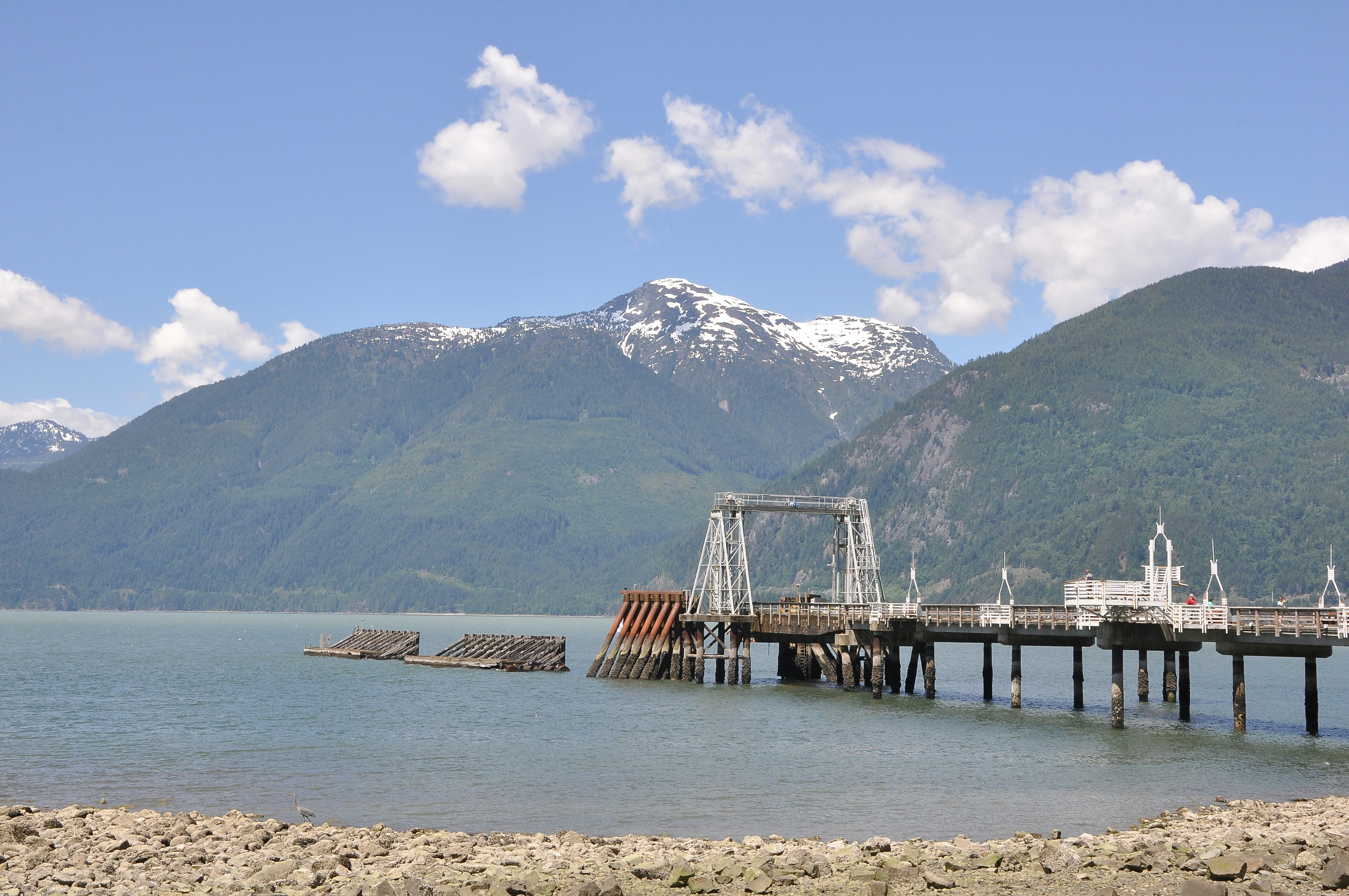 Photo by andreiantica