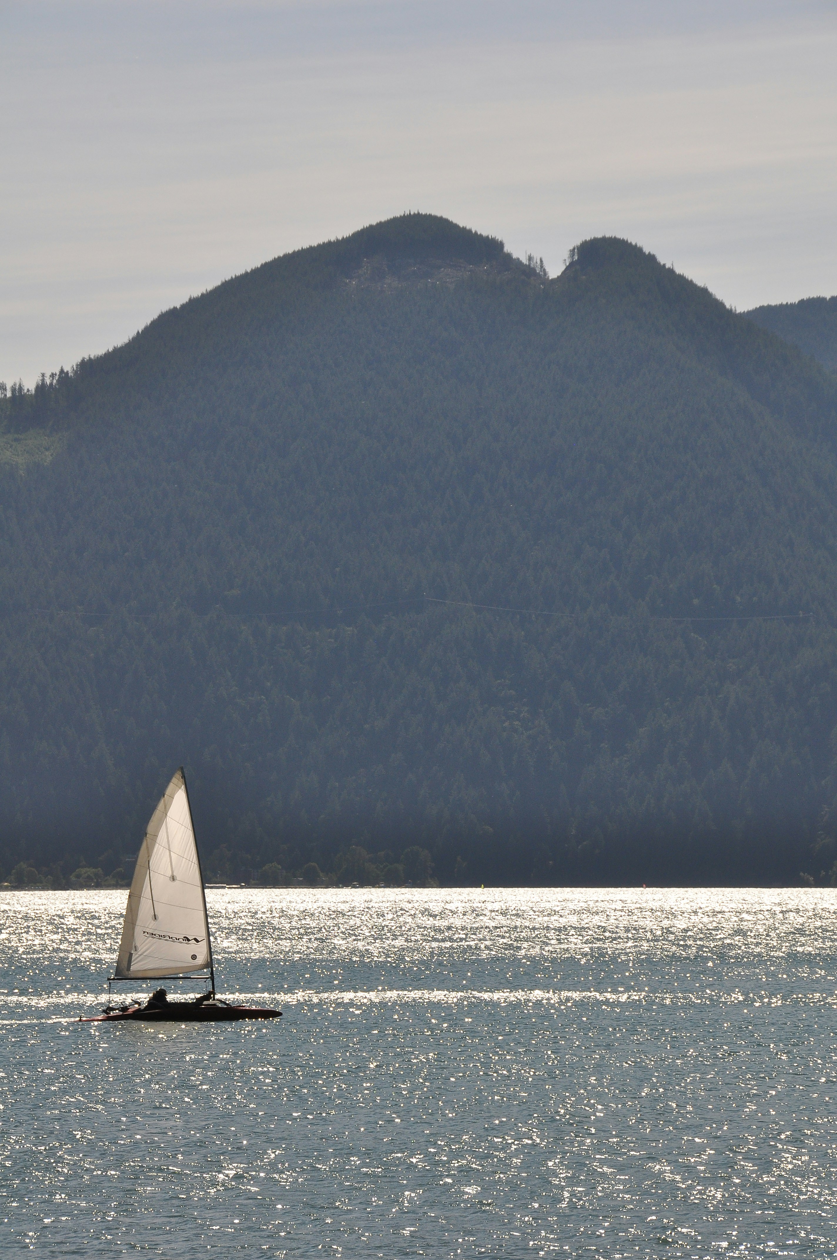 Photo by andreiantica