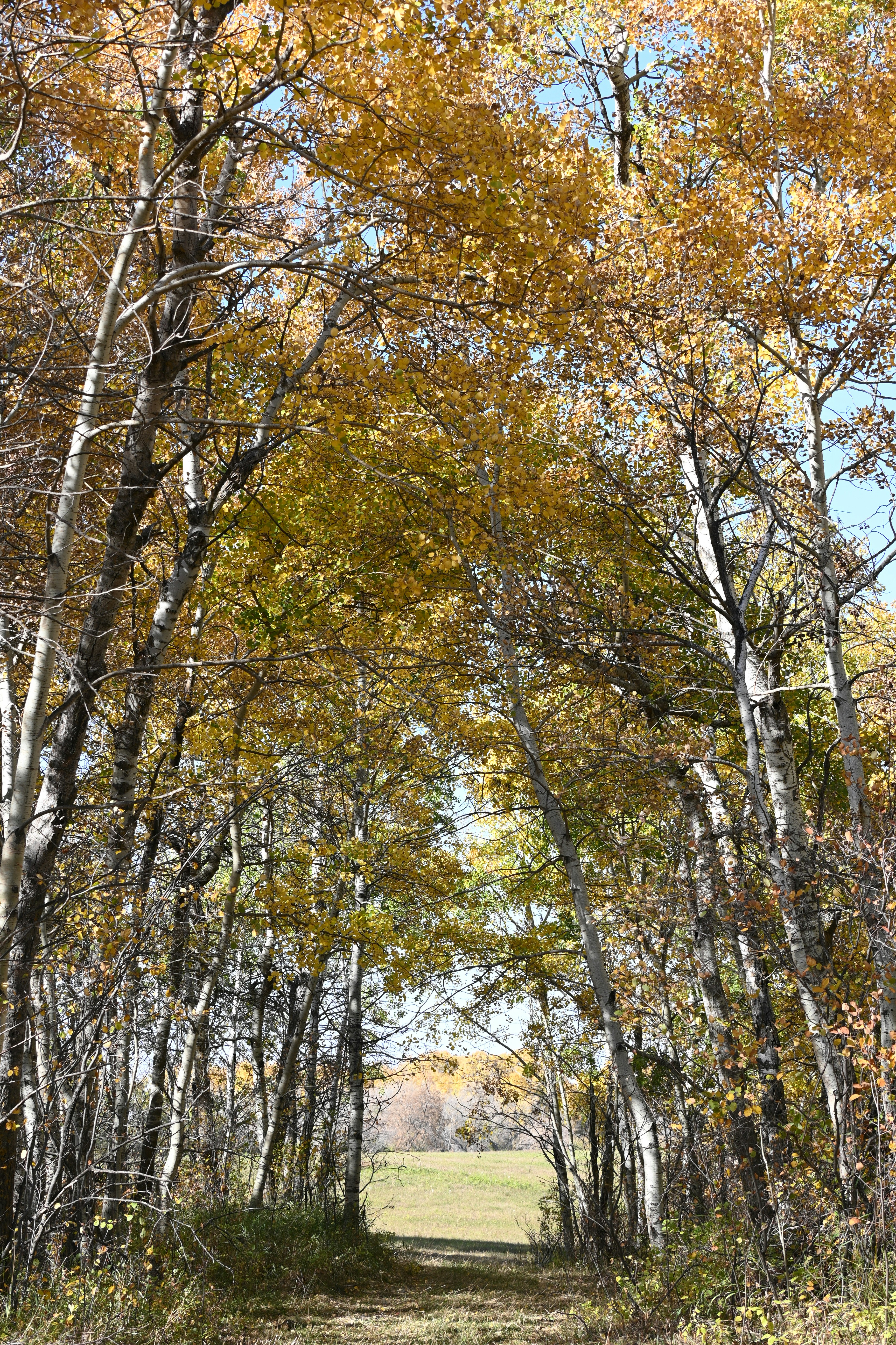 Photo by bodacious67