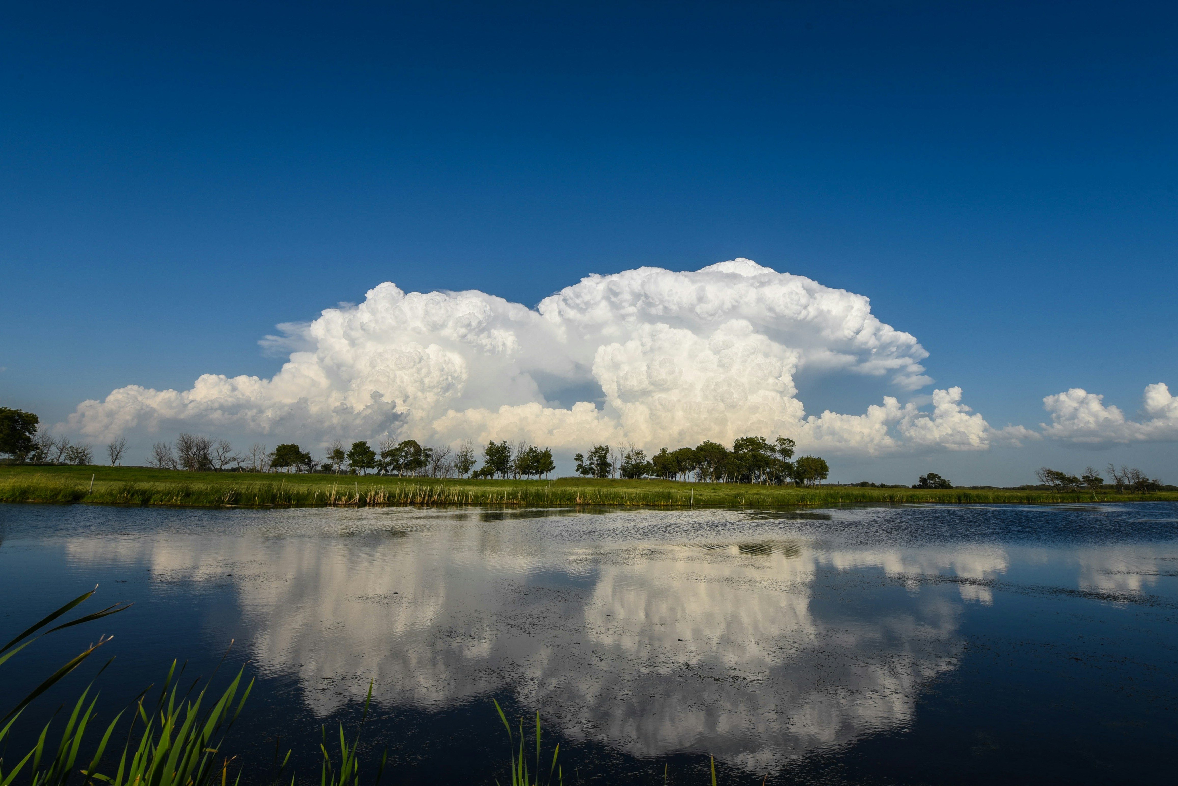 Photo by bodacious67