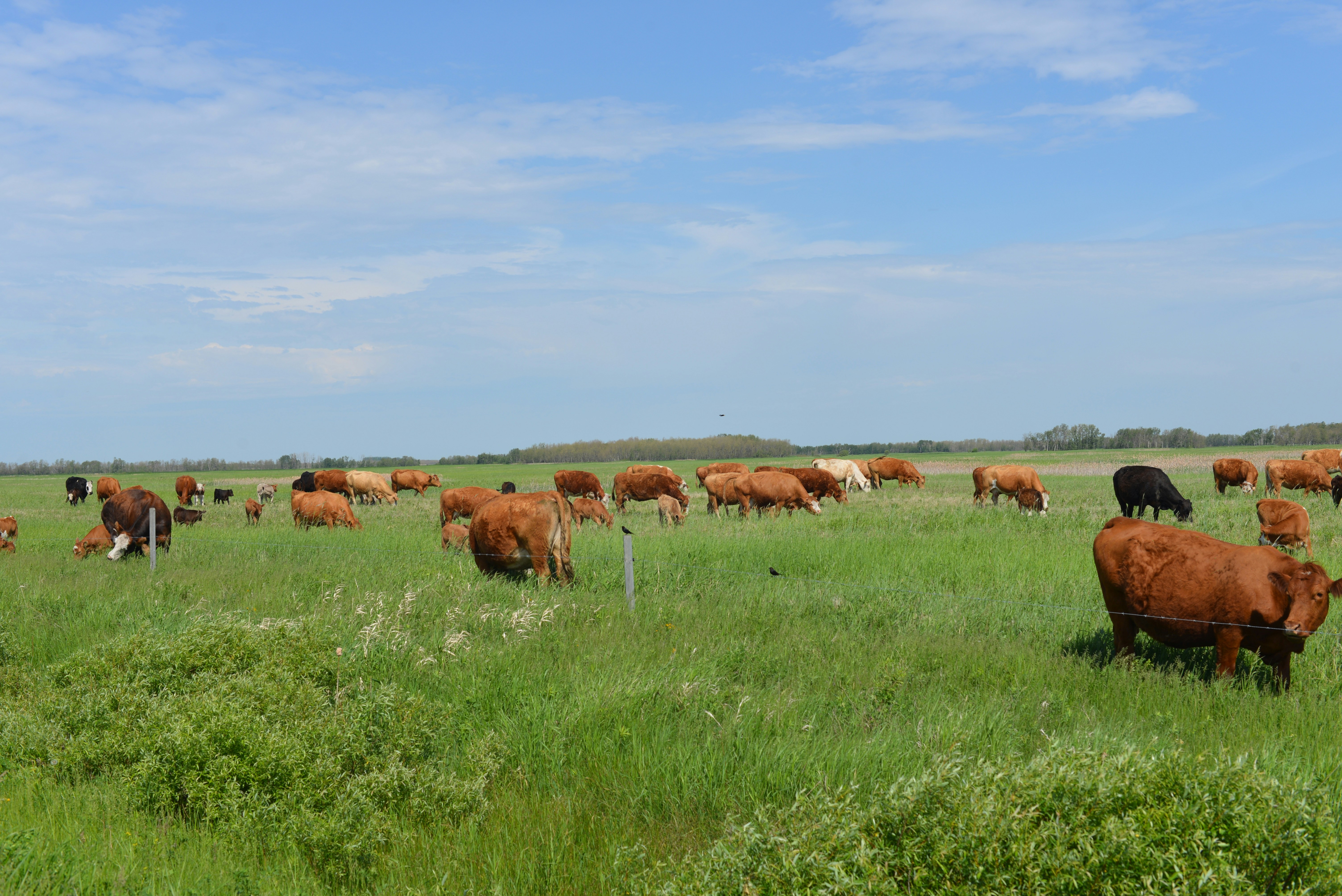 Photo by bodacious67