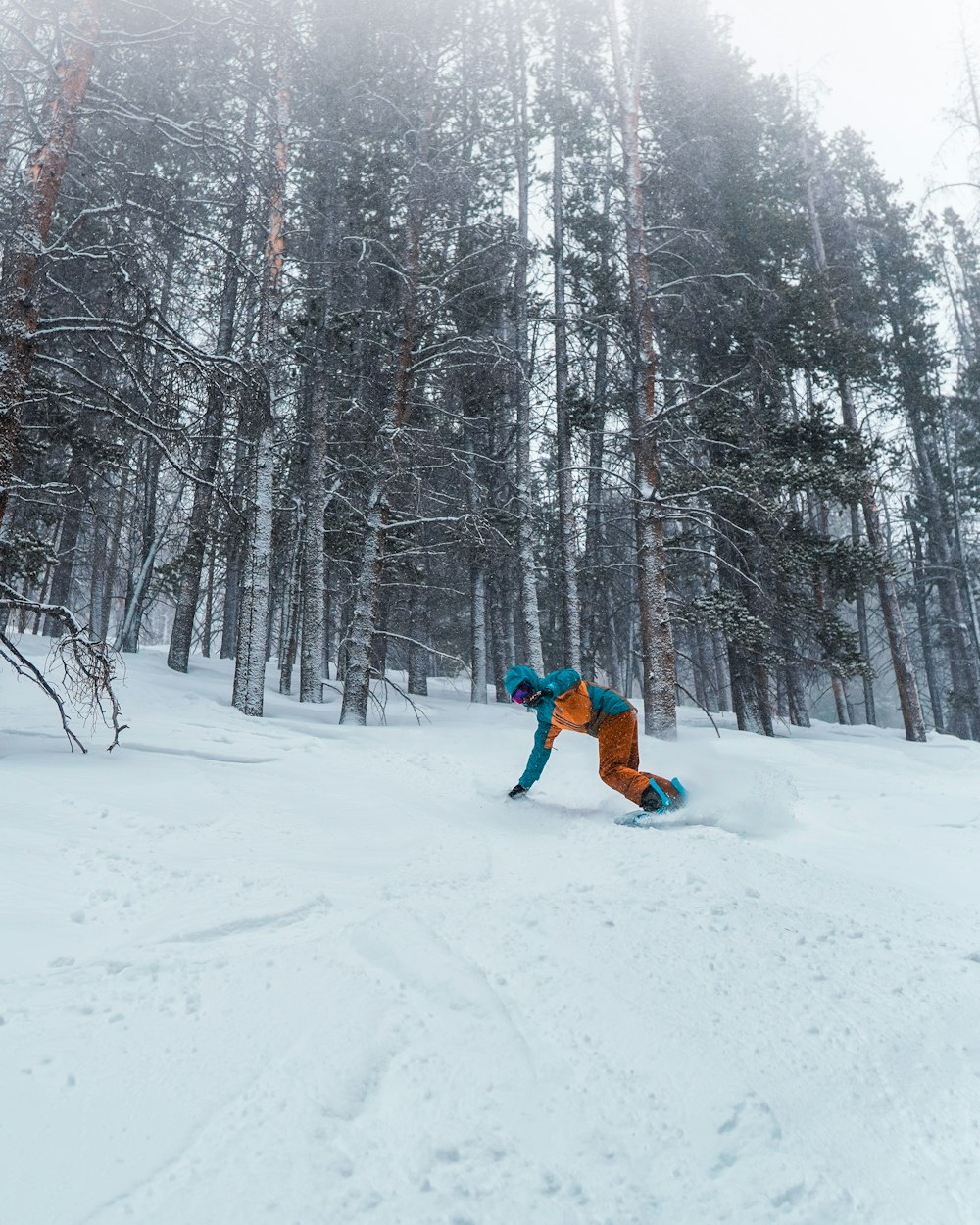 Eine Person, die mit einem Snowboard einen schneebedeckten Hang hinunterfährt