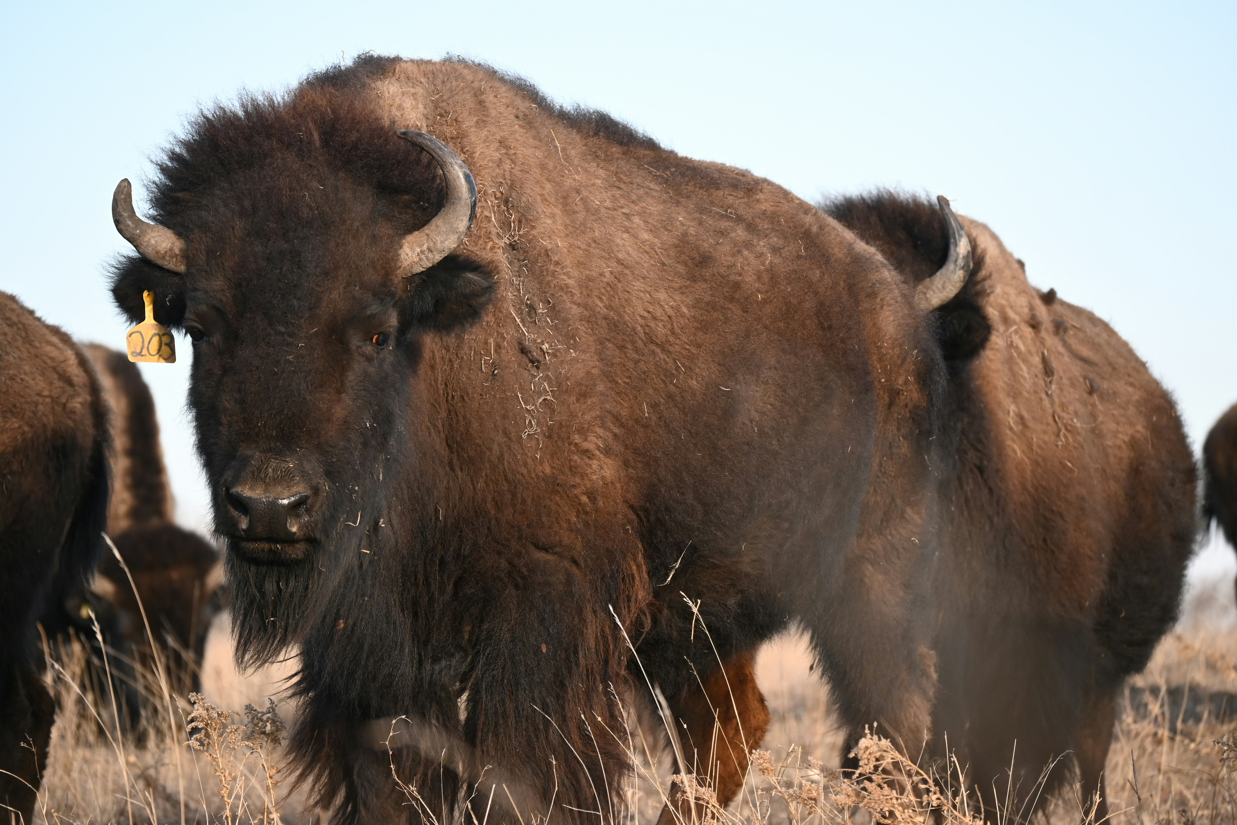 Photo by bodacious67