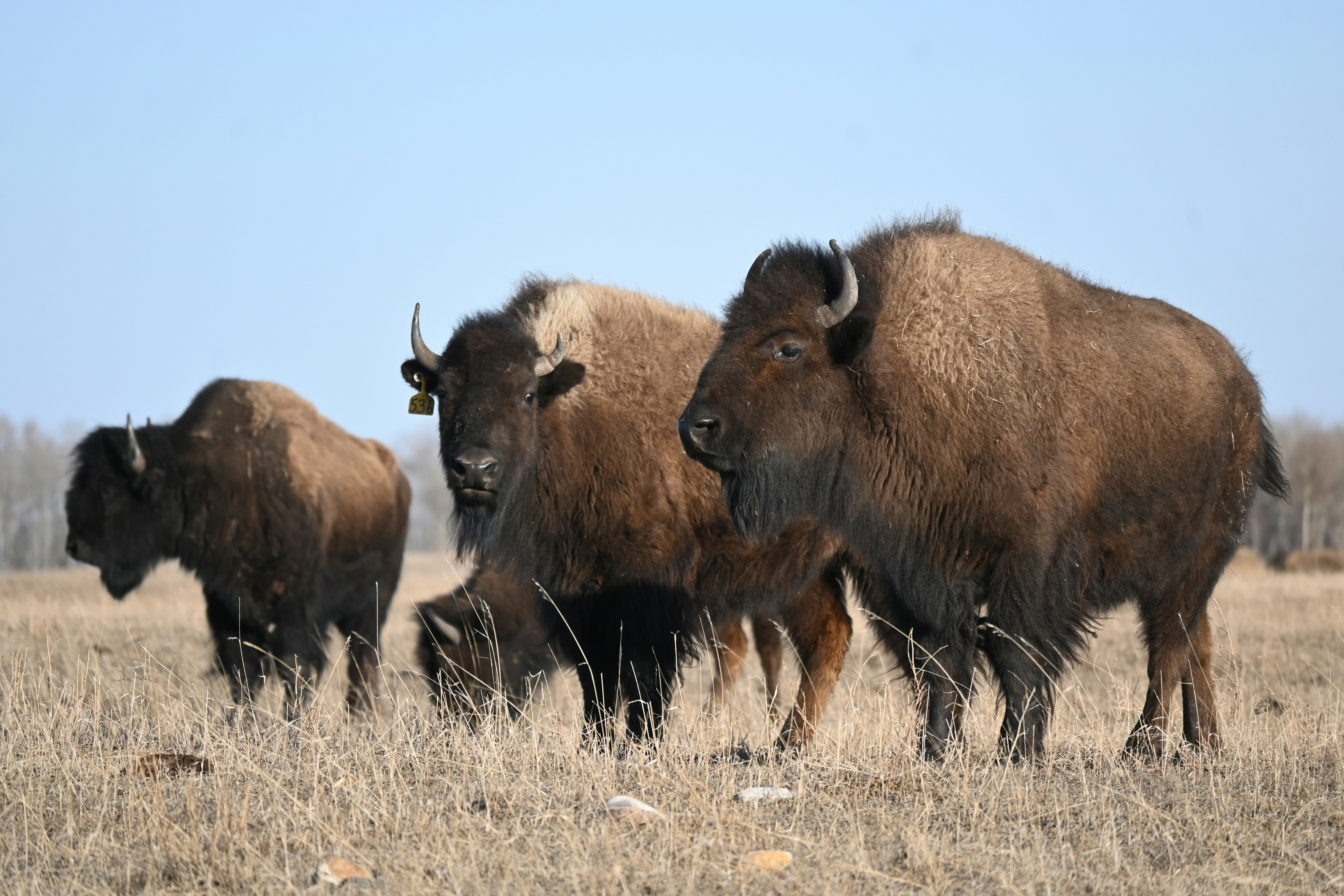 Photo by bodacious67