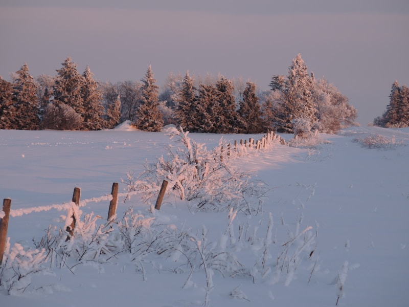 Winterwonderland