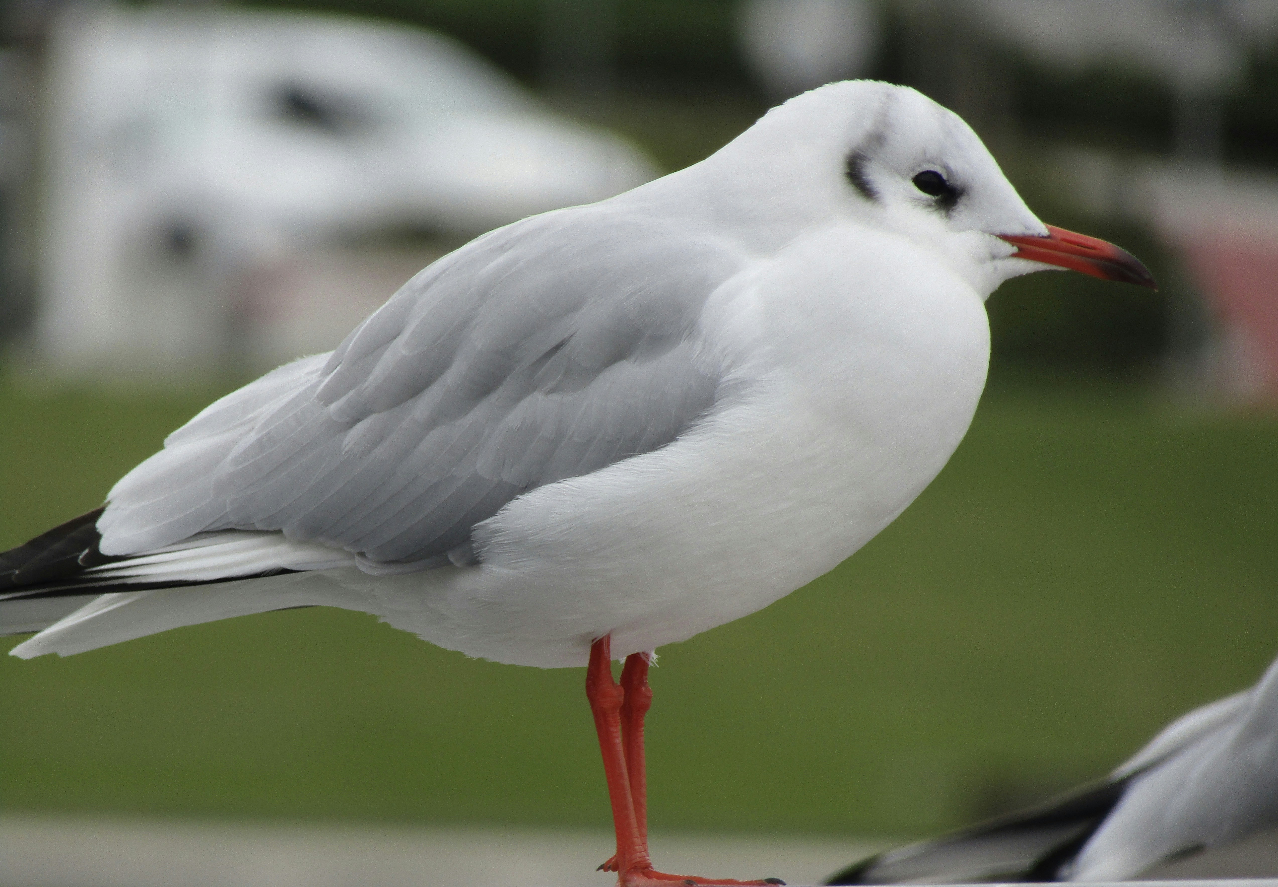 Photo by annashevchenko06s