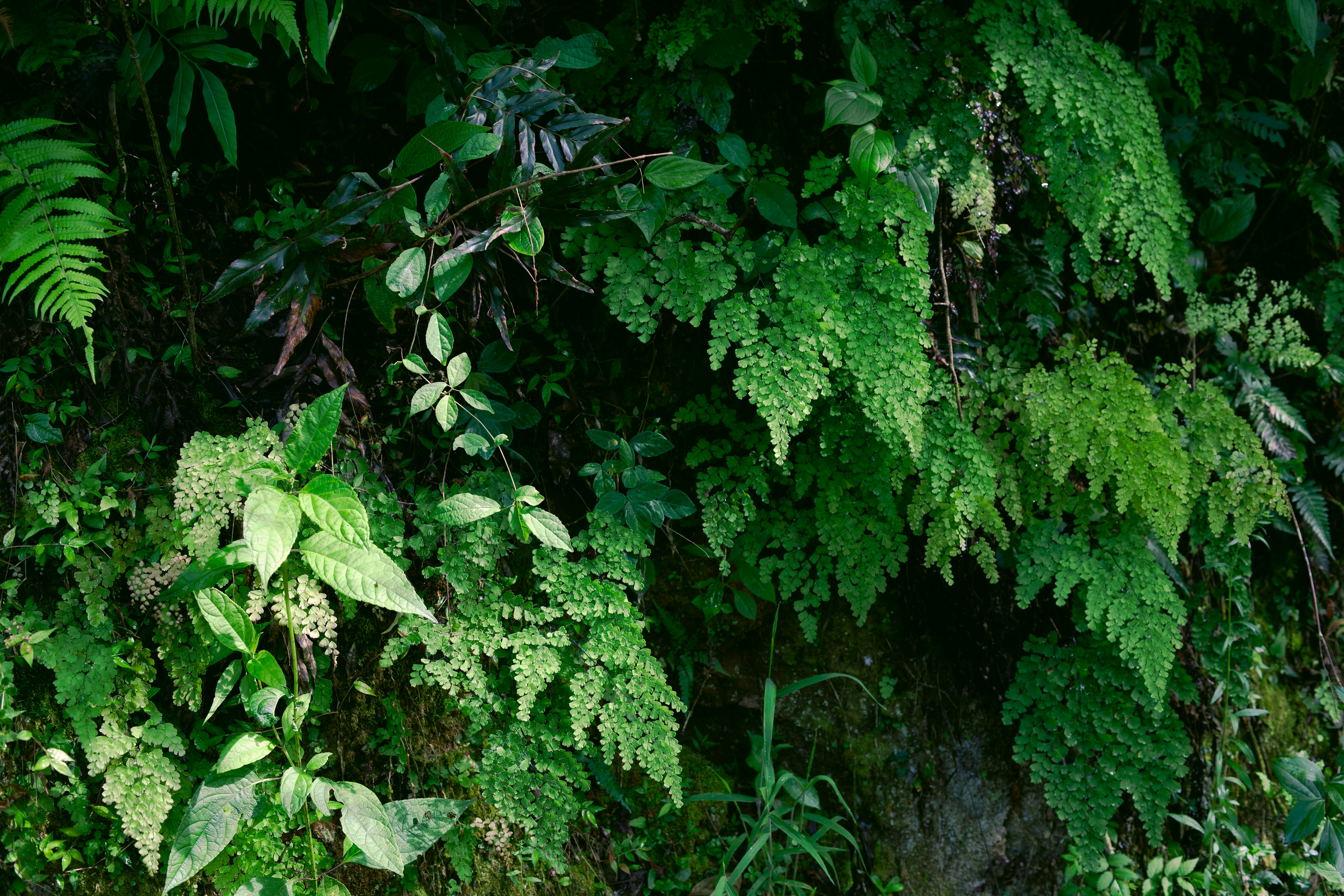 Photo by projetocafegatomourisco