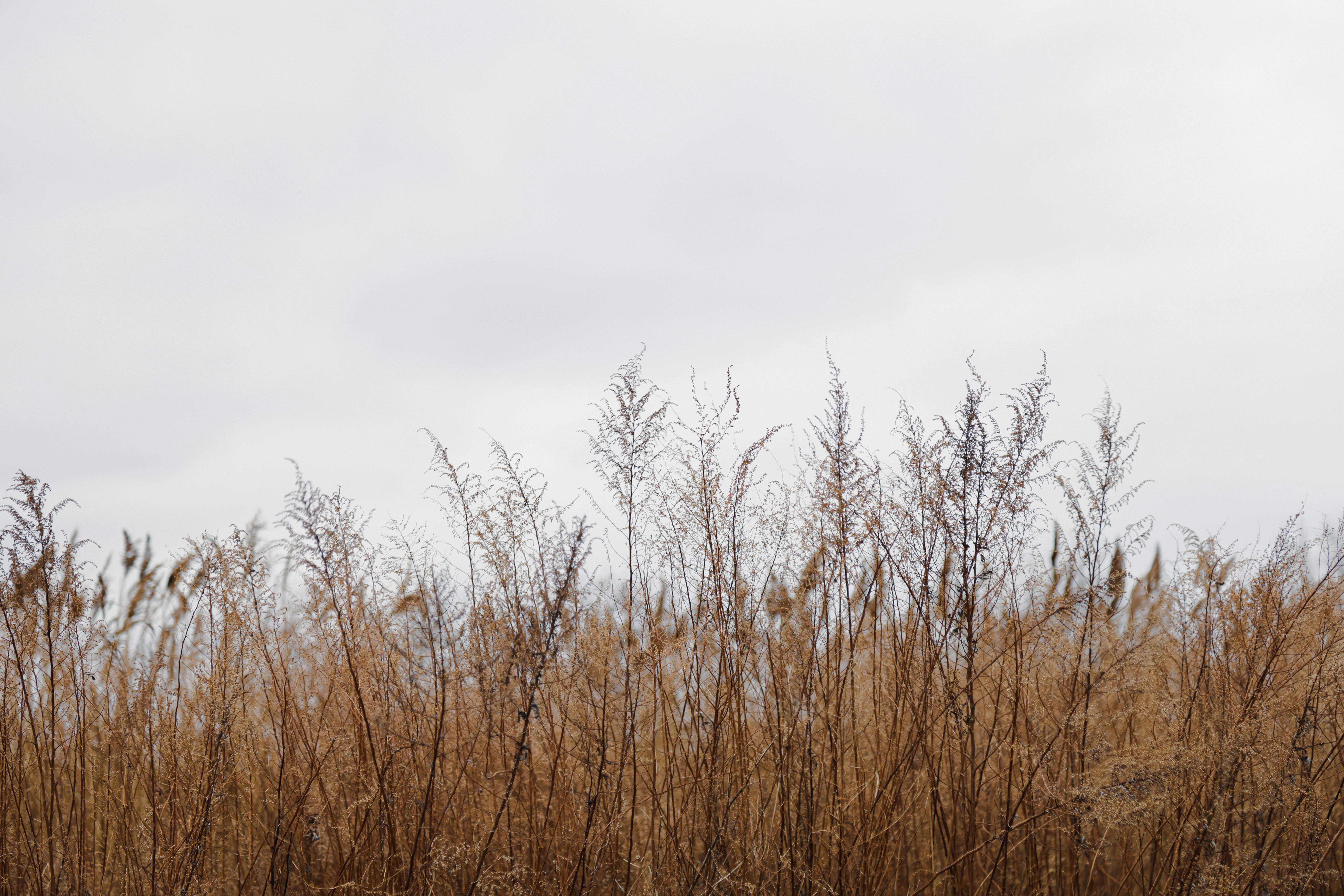 Photo by matty_valentino