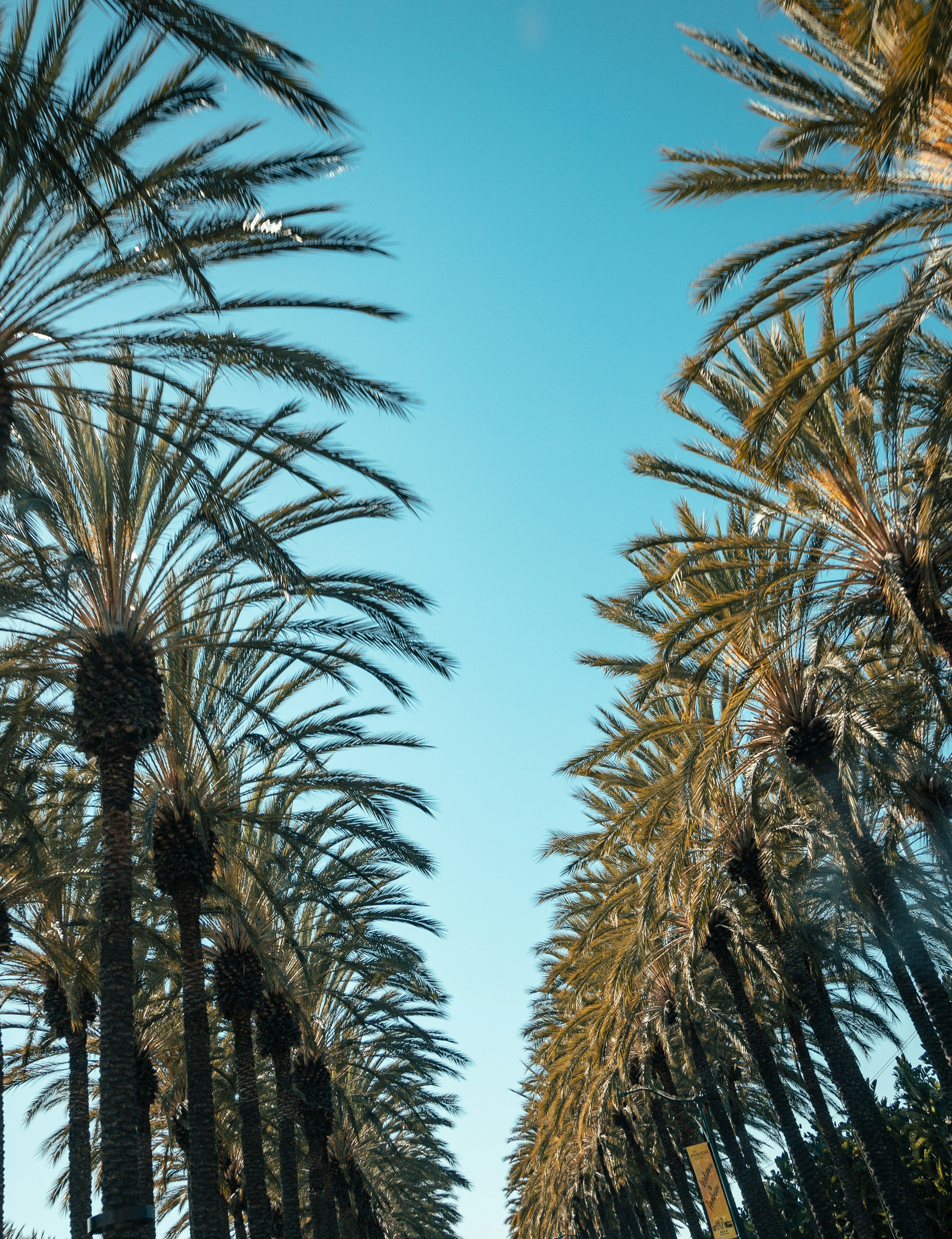 Photo by jeffersonsees