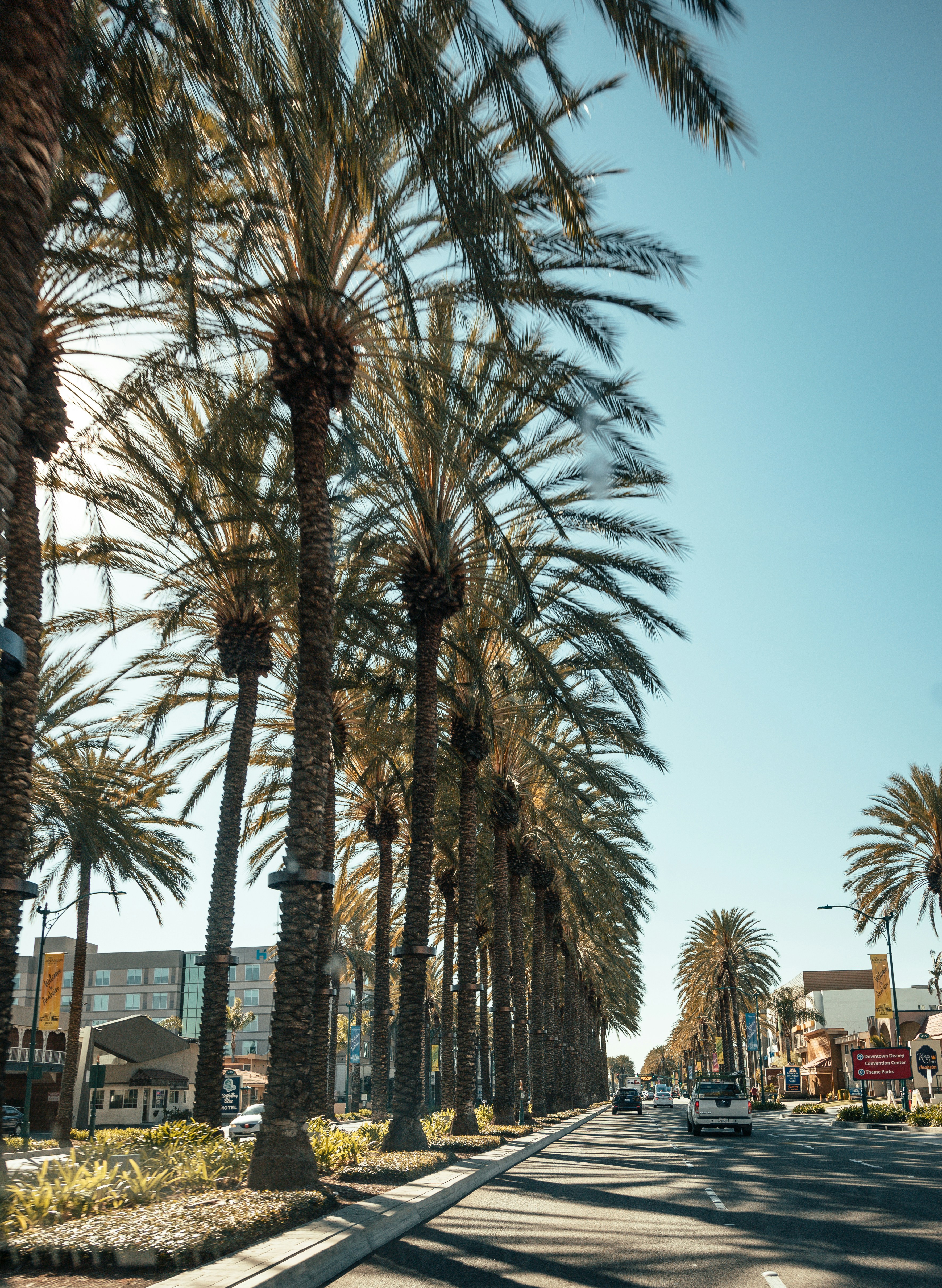 Photo by jeffersonsees