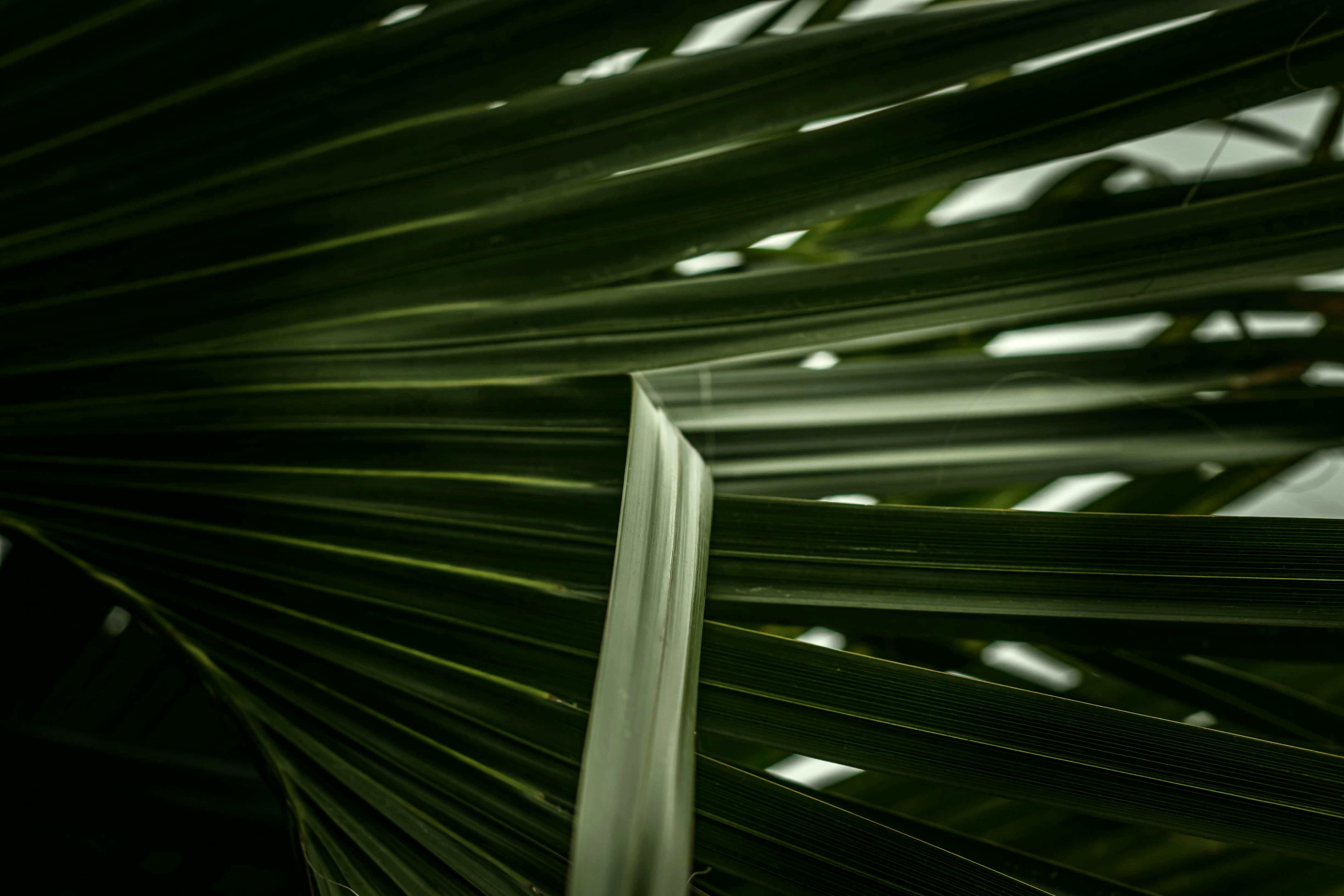 Photo by brice_cooper18