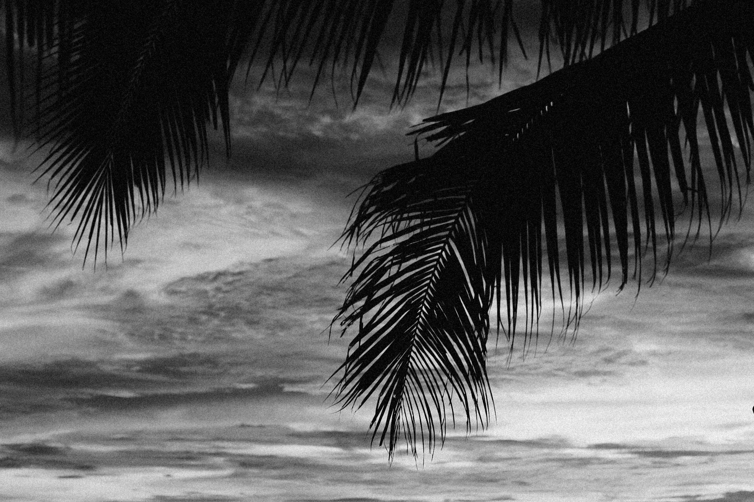 Photo by alexeydemidov