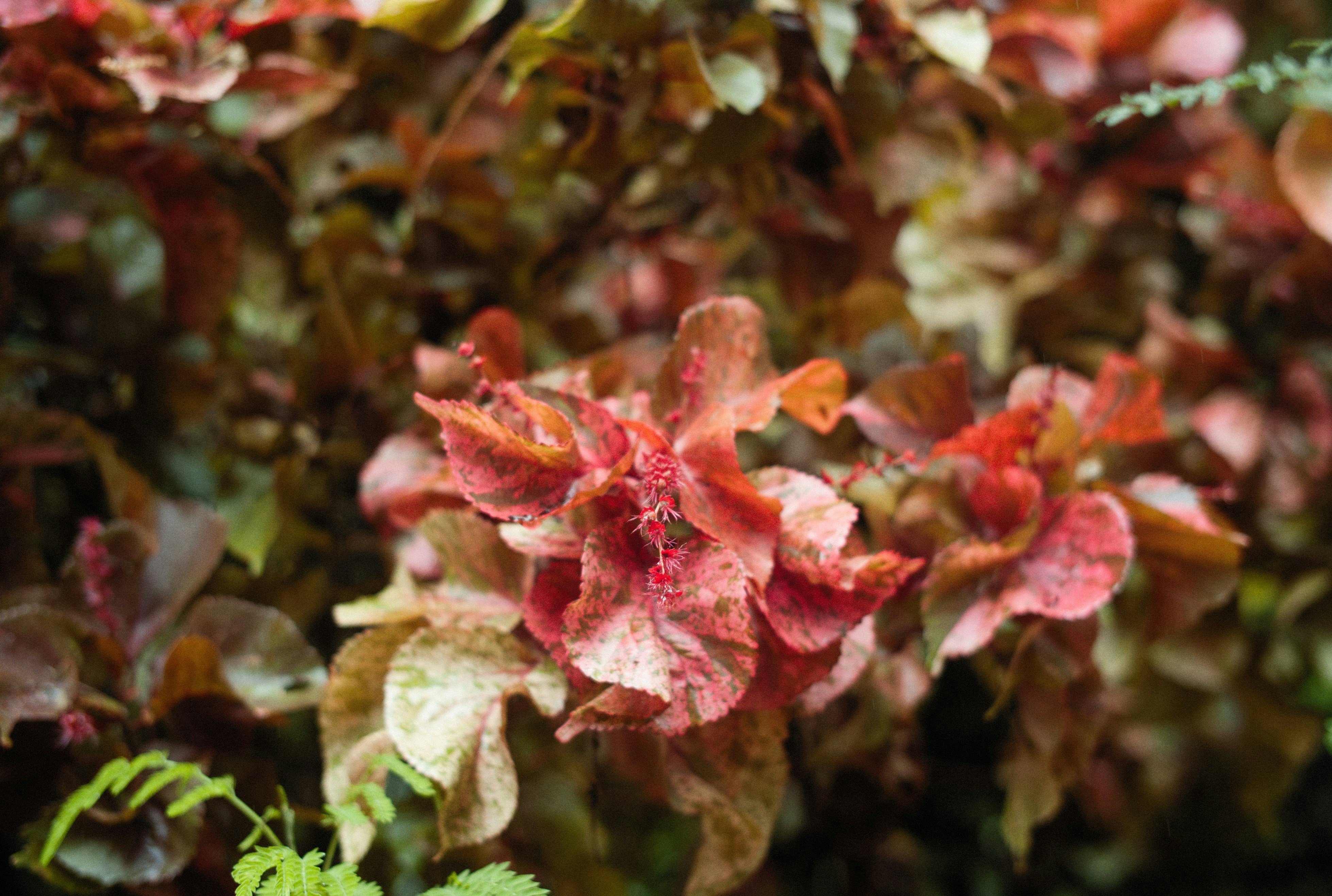 Photo by alexeydemidov