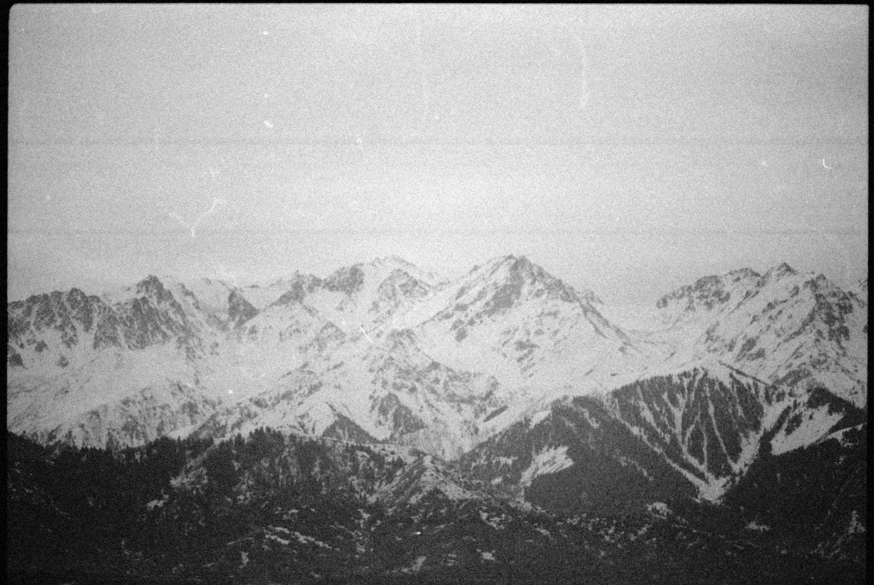 Photo by alexeydemidov