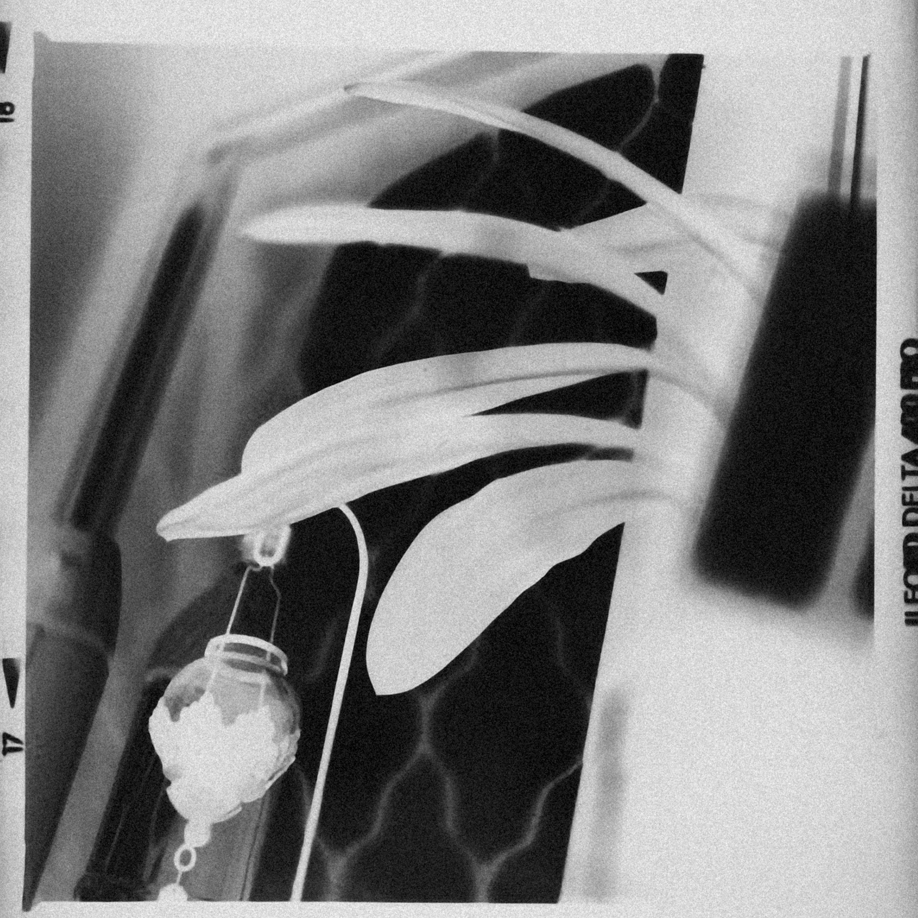 Photo by alexeydemidov