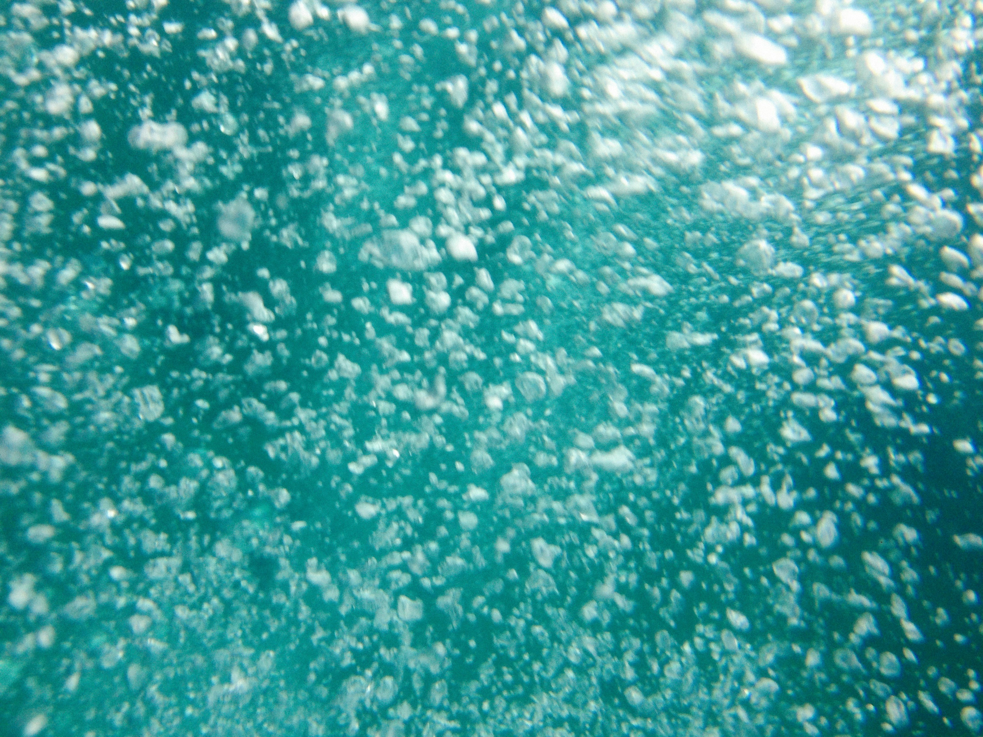 Photo by alexeydemidov