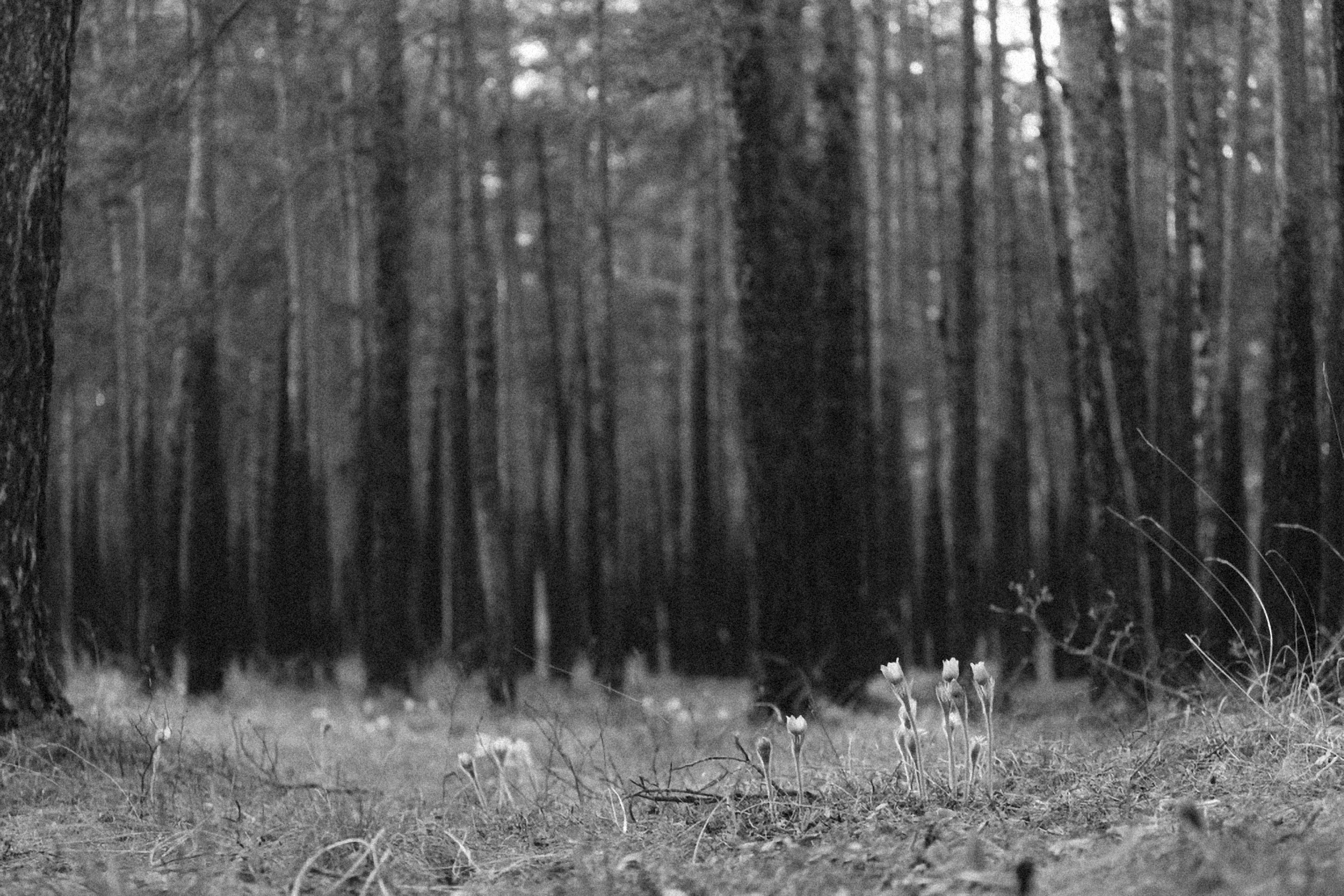 Photo by alexeydemidov