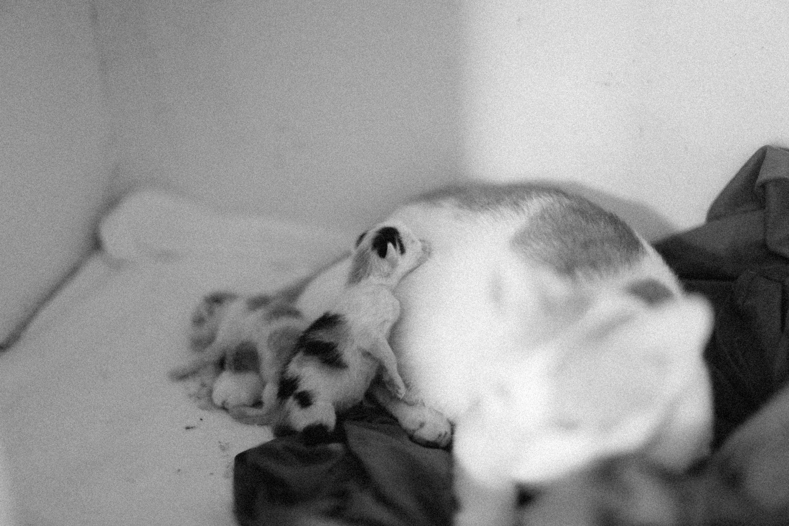 Photo by alexeydemidov