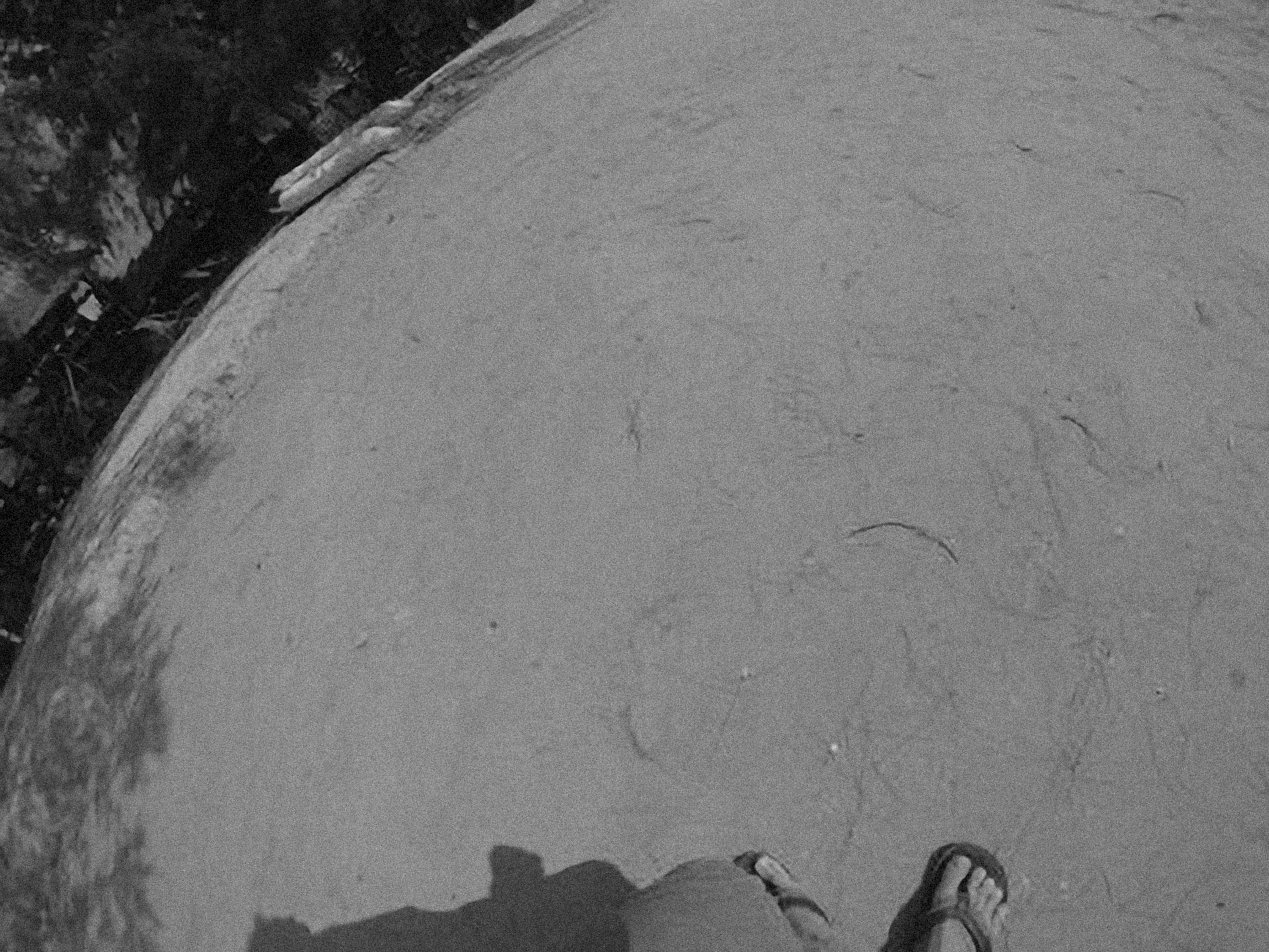 Photo by alexeydemidov