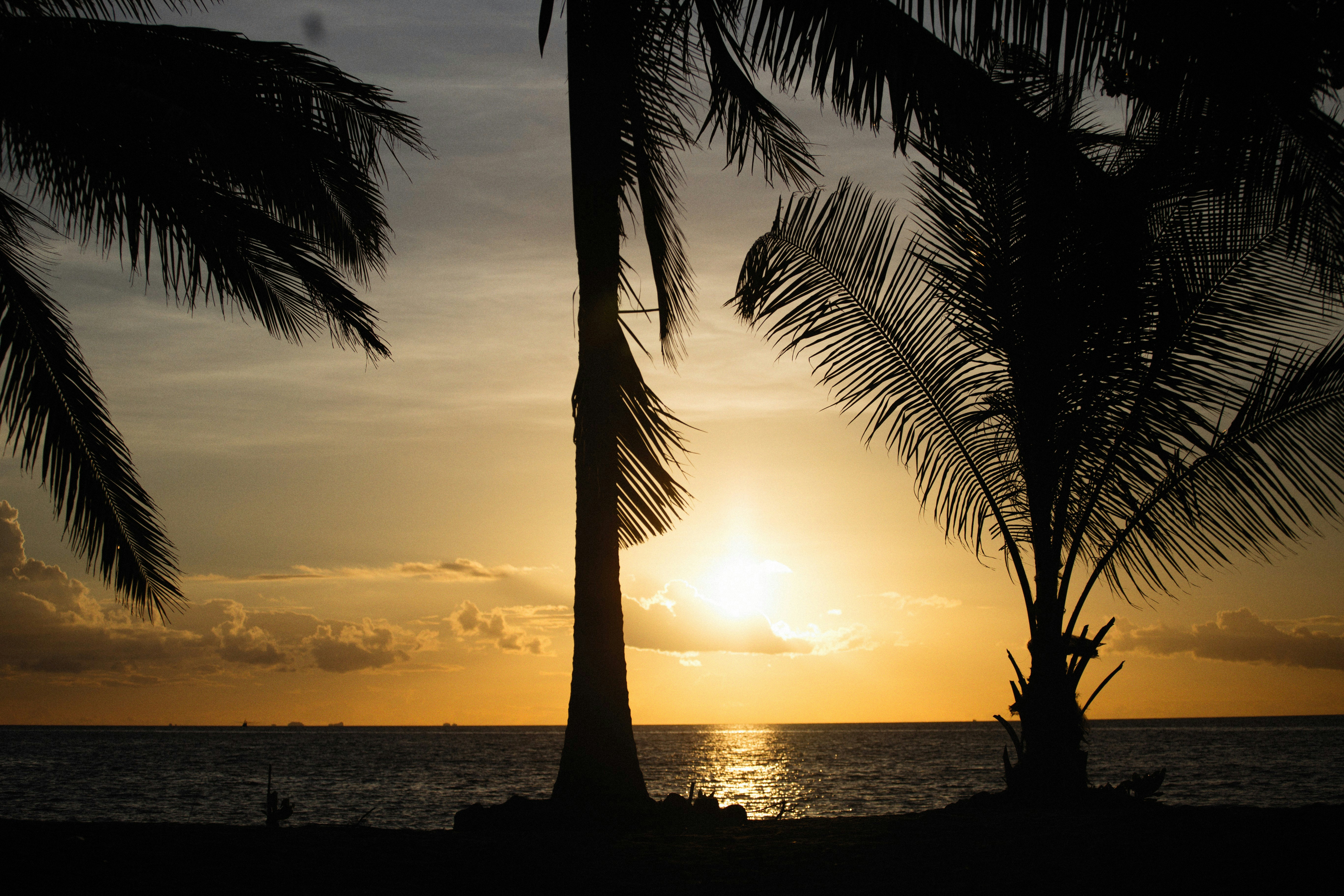 Photo by alexeydemidov