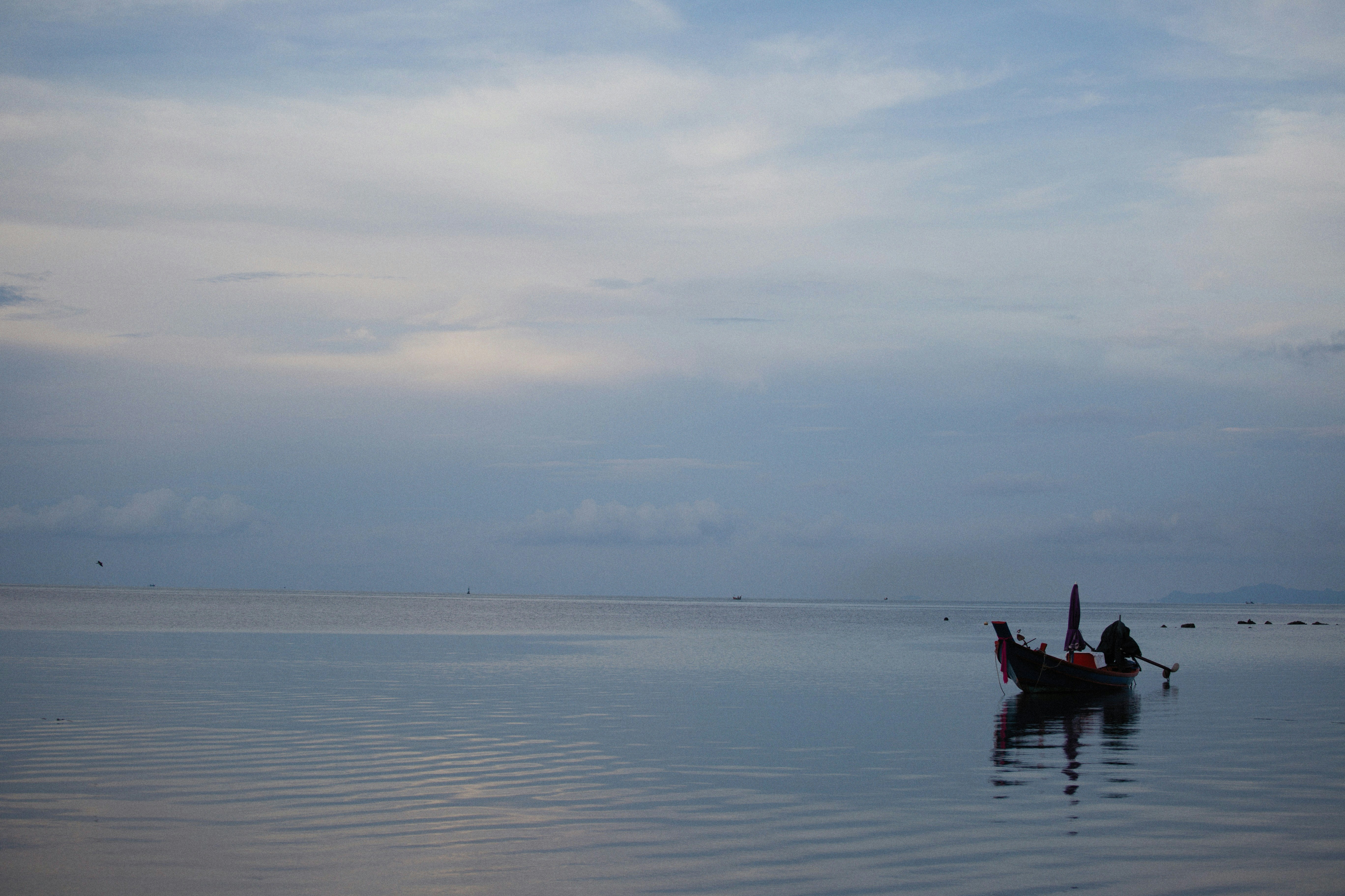 Photo by alexeydemidov