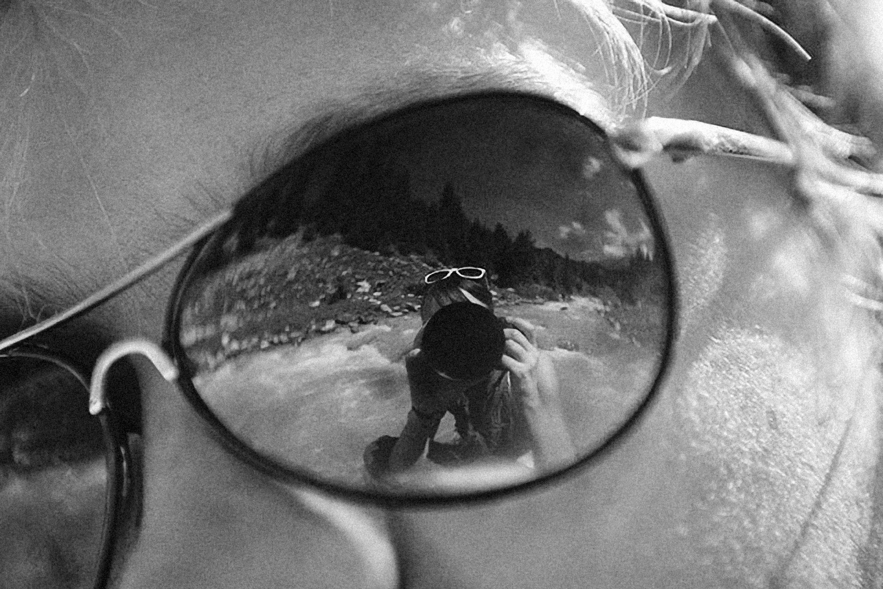 Photo by alexeydemidov