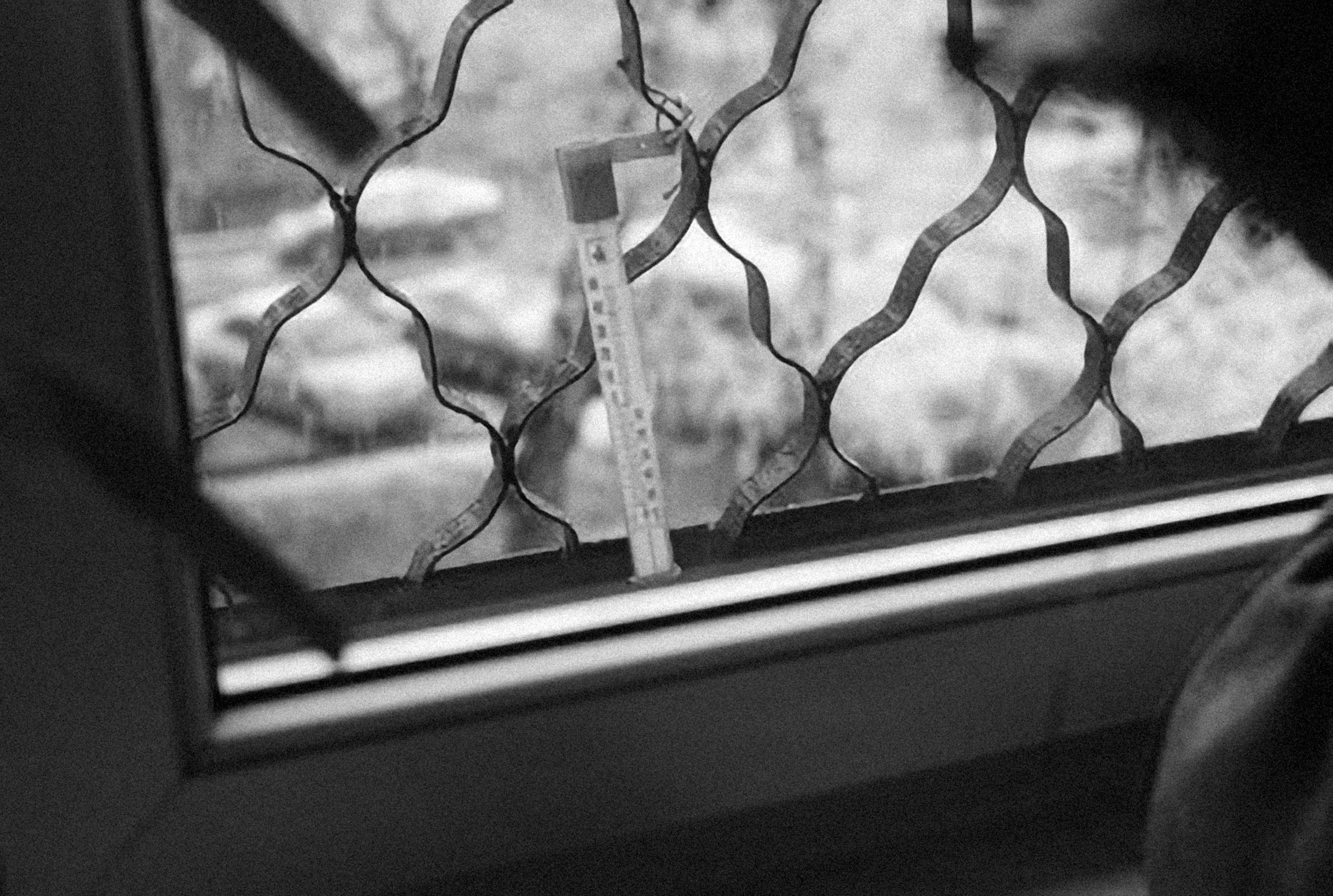 Photo by alexeydemidov