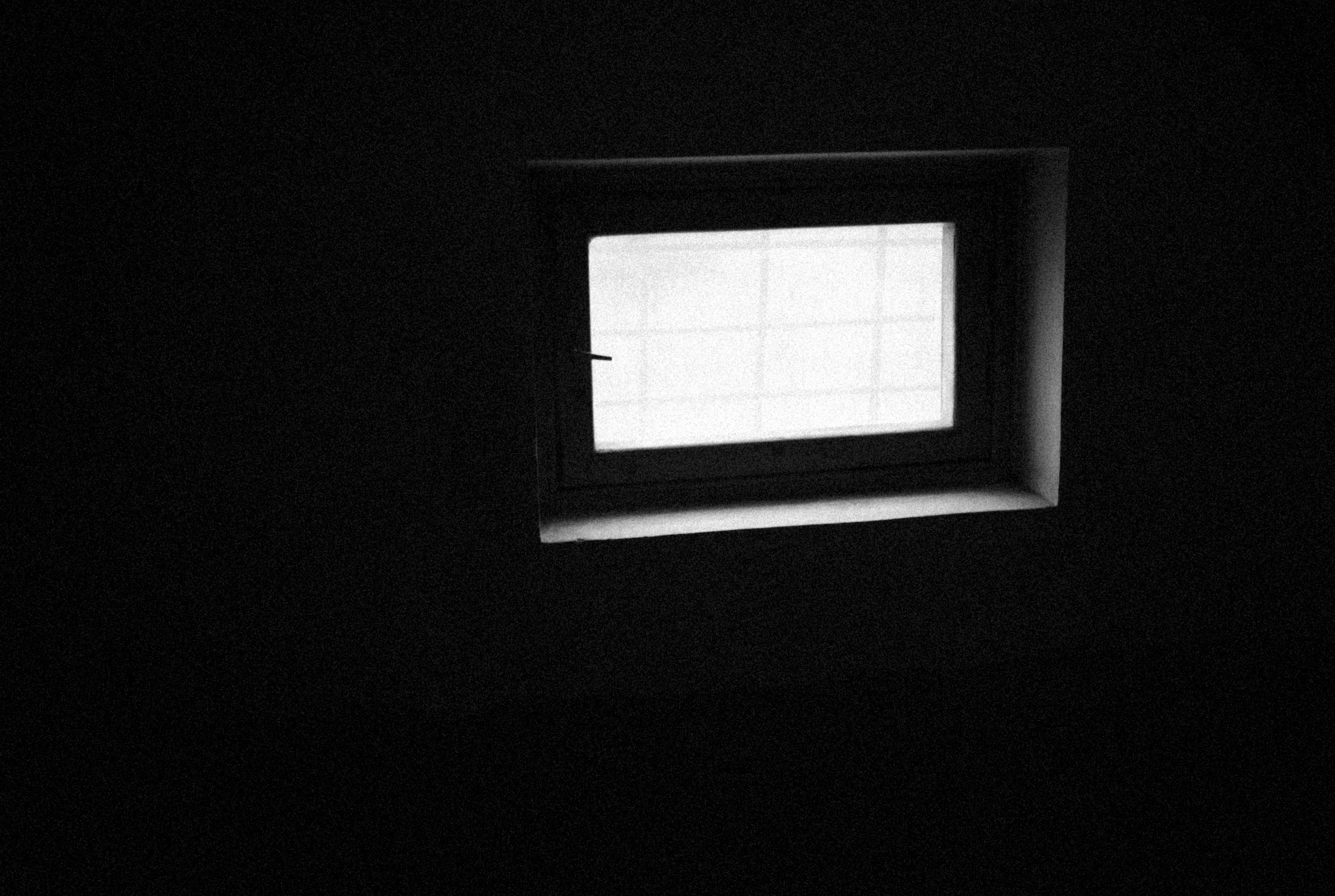 Photo by alexeydemidov