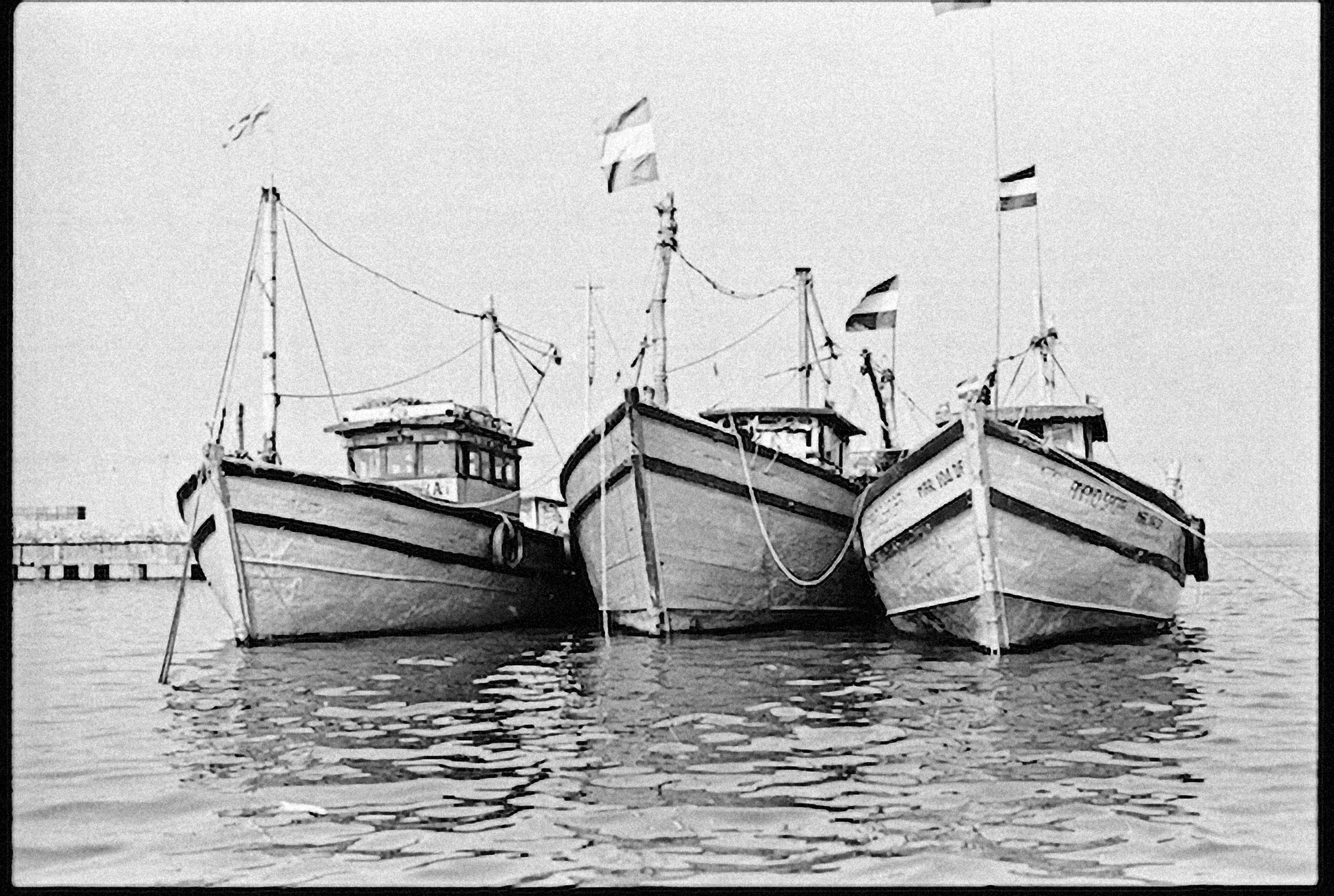 Photo by alexeydemidov