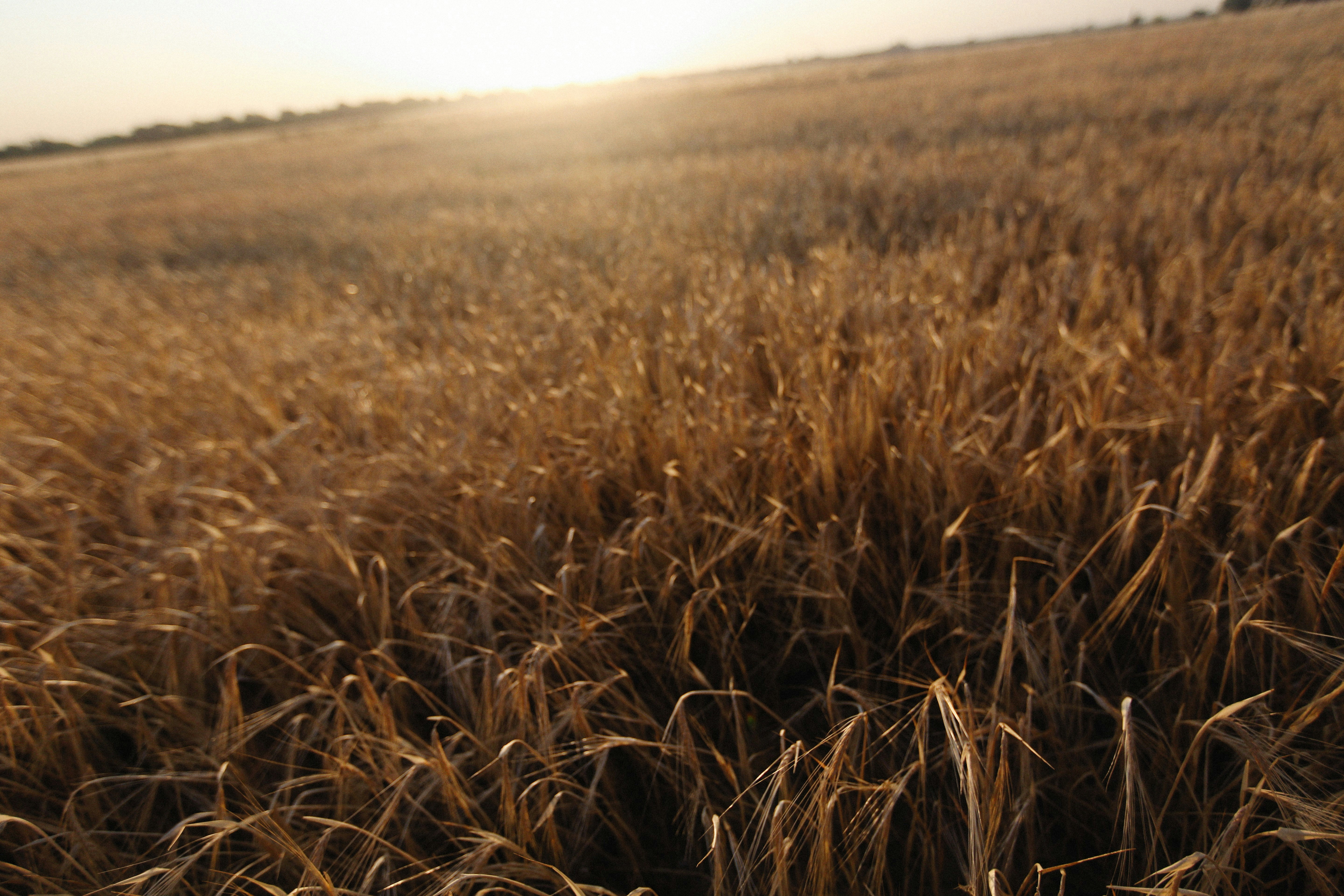 Photo by alexeydemidov