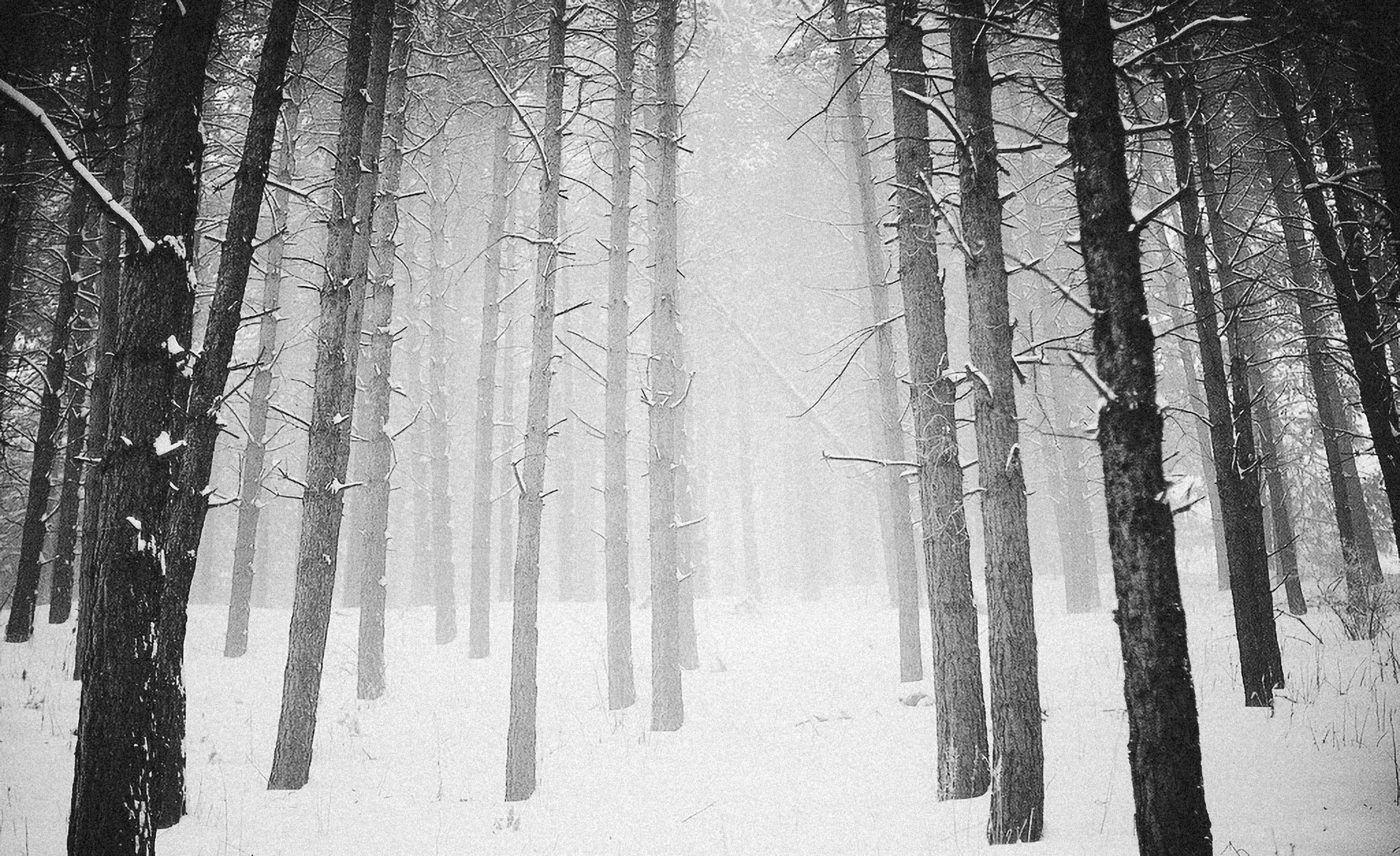 Photo by alexeydemidov